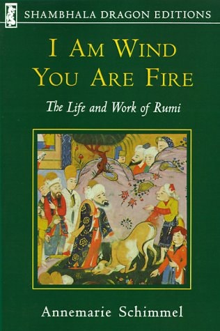 I Am Wind Your Are Fire The Life and Work of Rumi