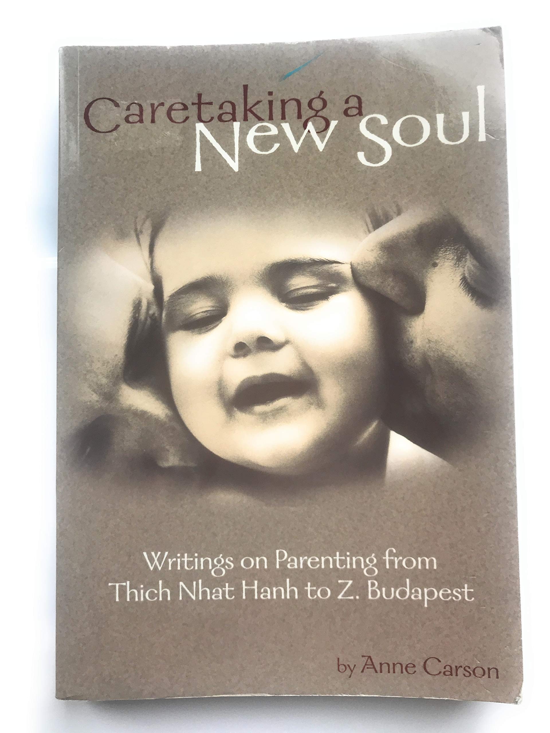 Caretaking a New Soul Writing on Parenting from Thich Nhat Hahn to Z Budapest
