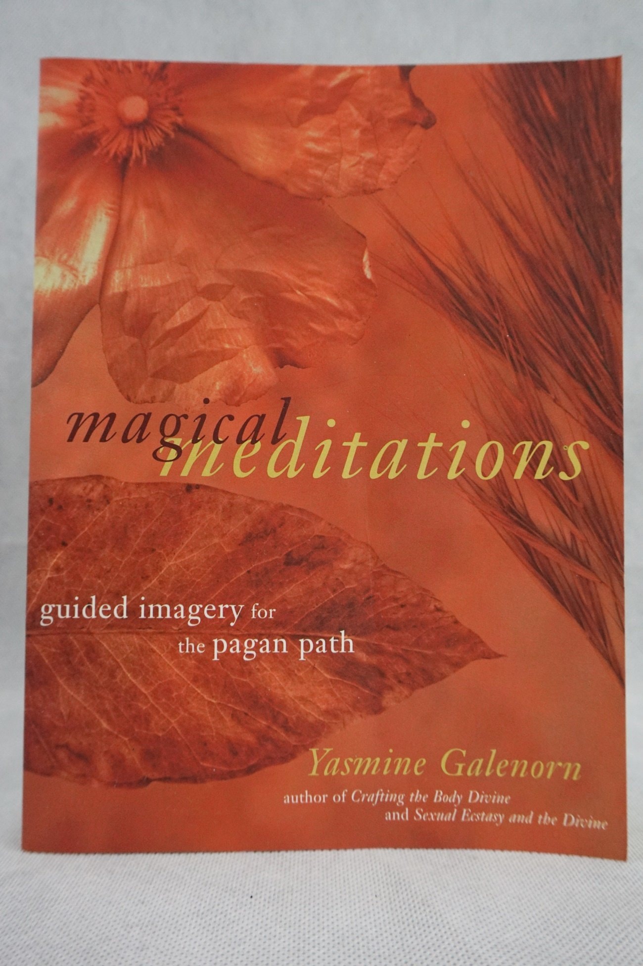 Magical Meditations Guided Imagery for the Pagan Path