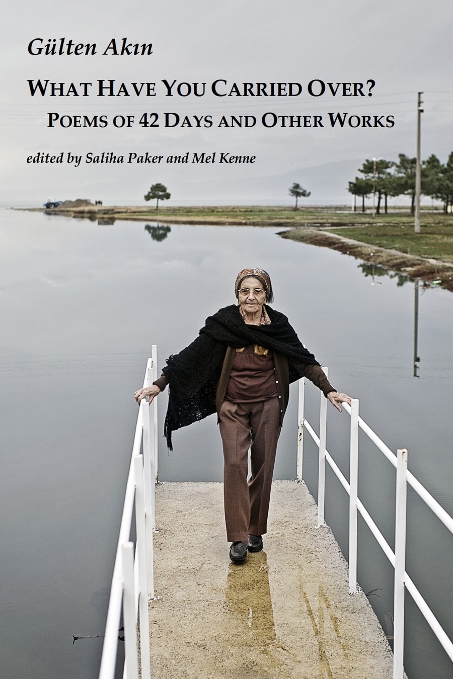 What Have You Carried Over? Poems of 42 Days and Other Works