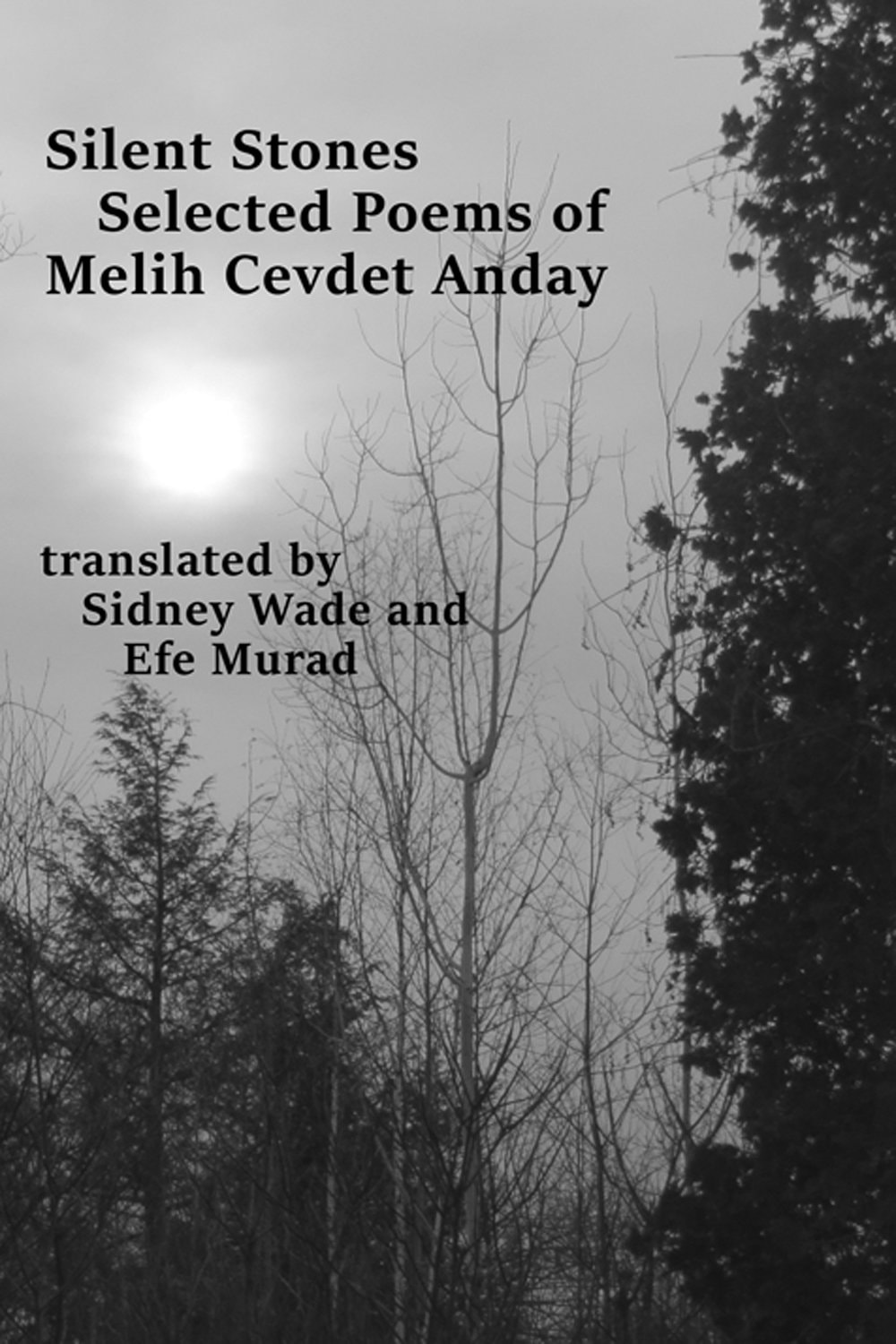 Silent Stones Selected Poems of Melih Cevdet Anday