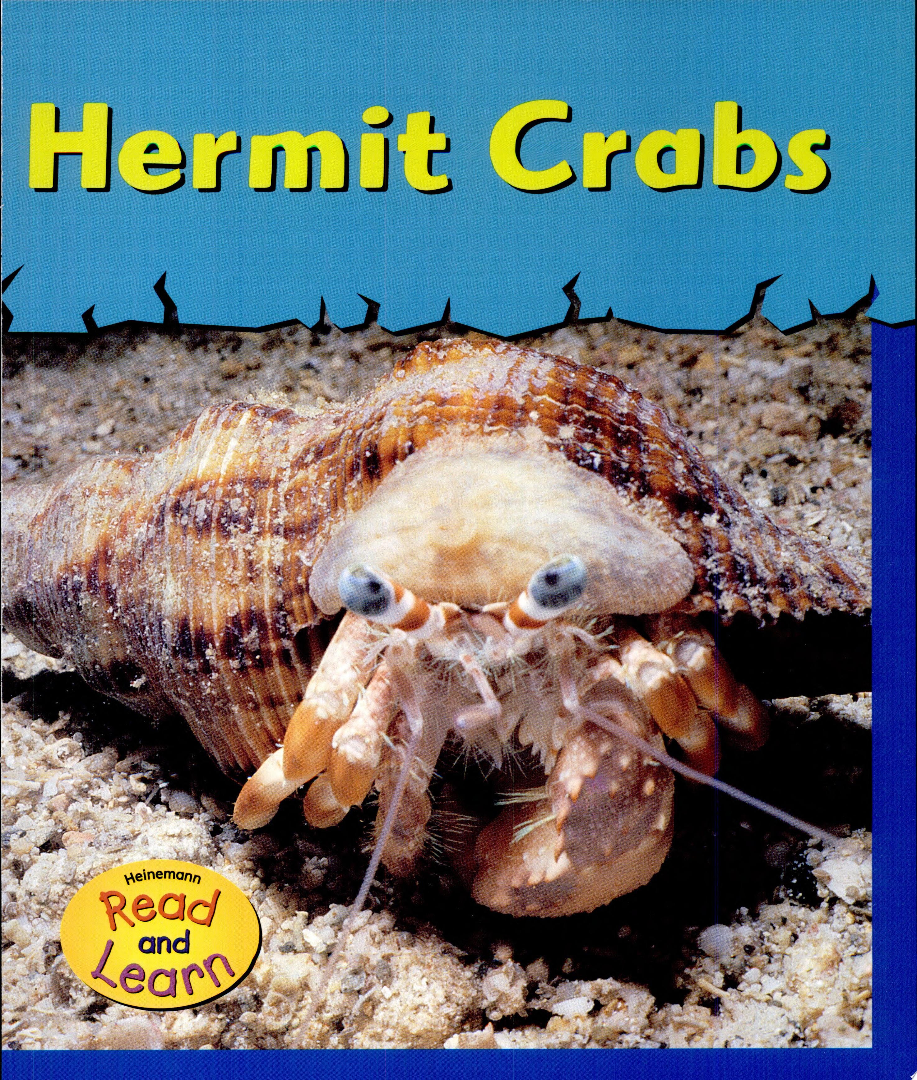 Hermit Crabs