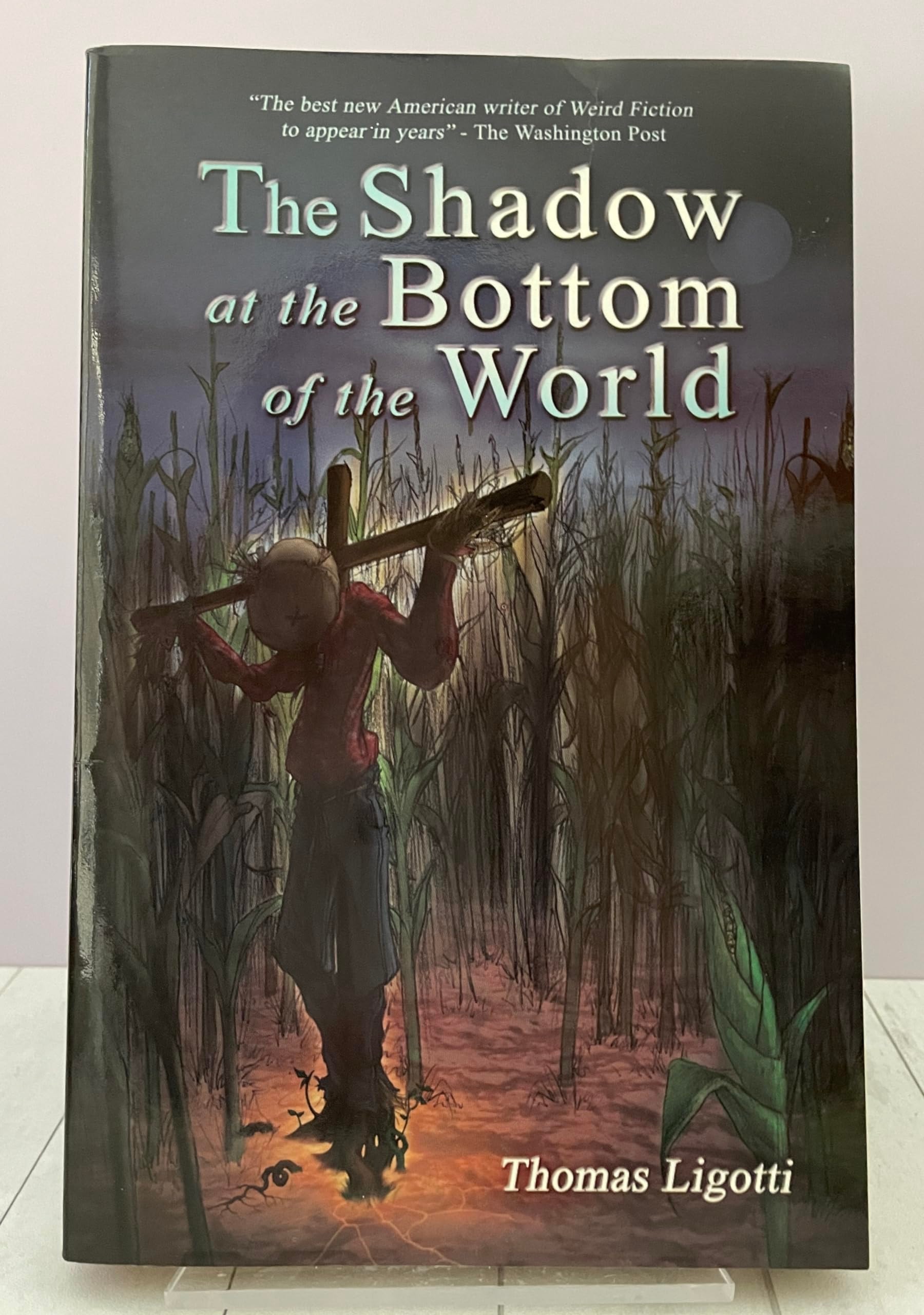The Shadow at the Bottom of the World