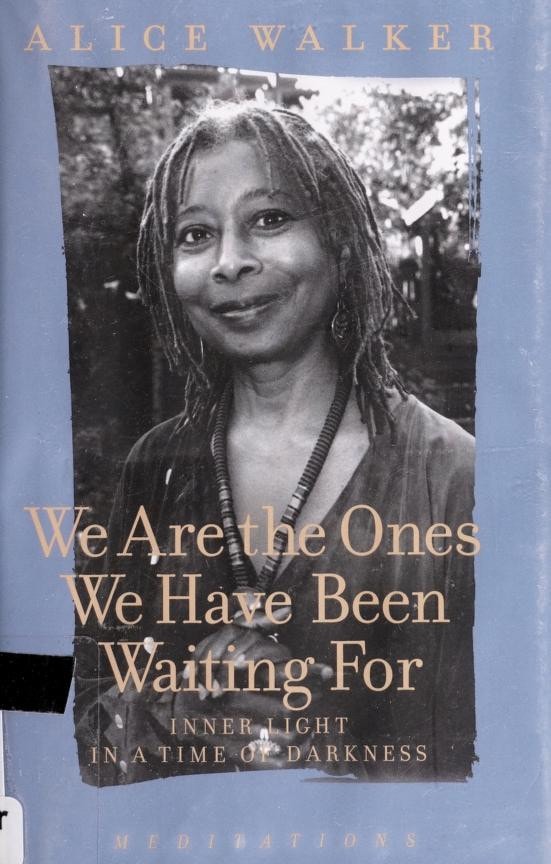 We Are the Ones We Have Been Waiting For: Inner Light in a Time of Darkness