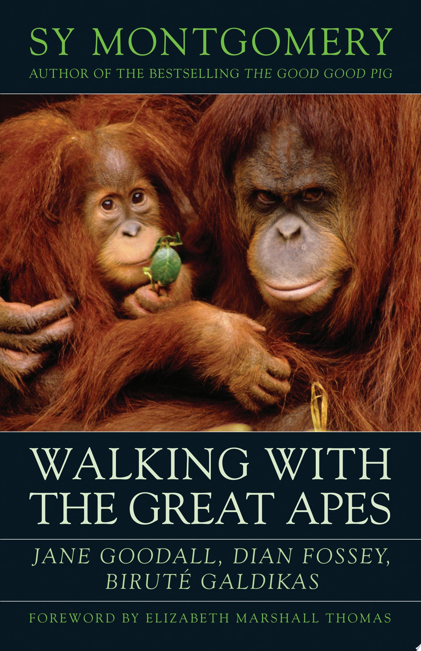 Walking with the Great Apes Jane Goodall, Dian Fossey, Biruté Galdikas