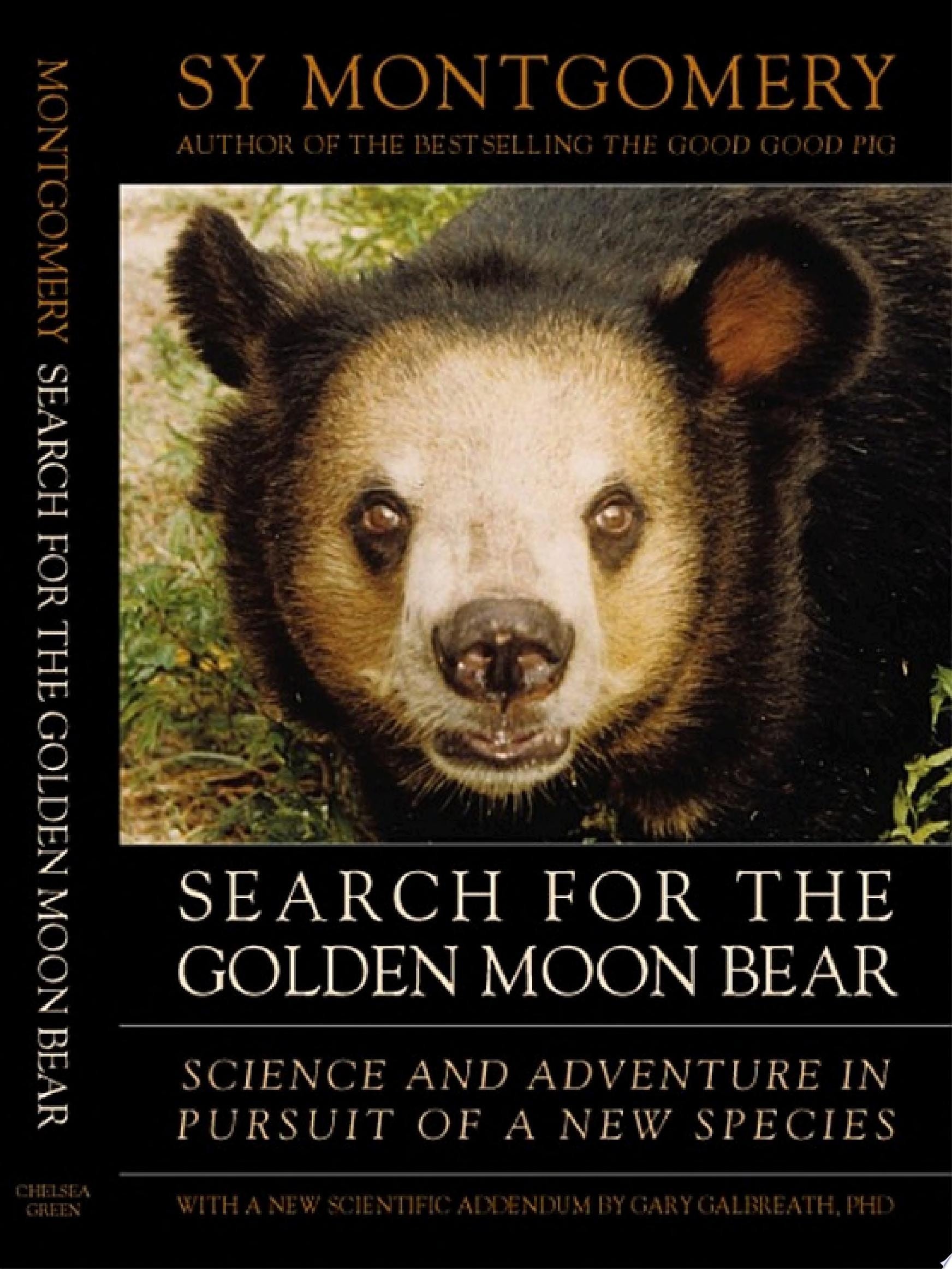 Search for the Golden Moon Bear