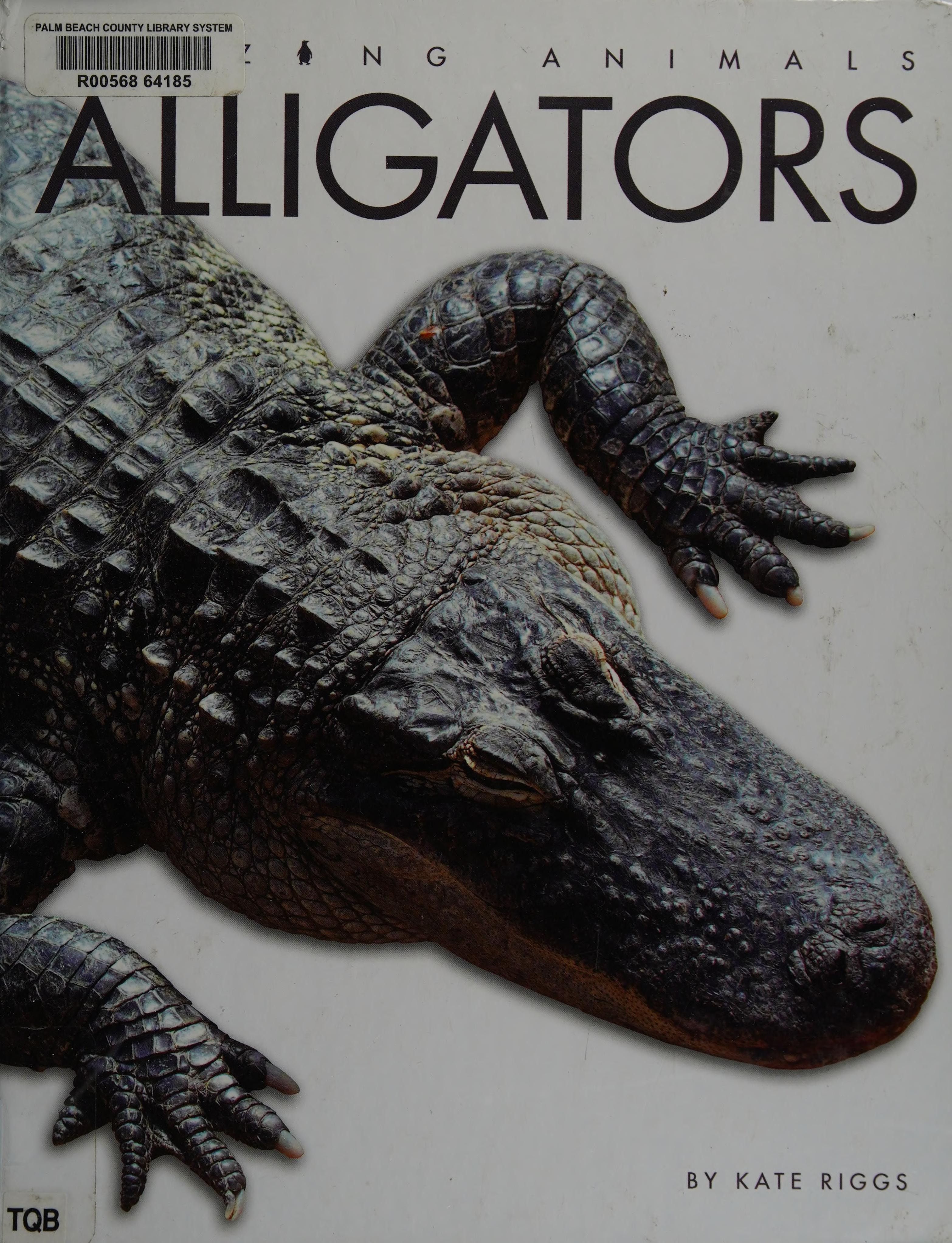 Alligators