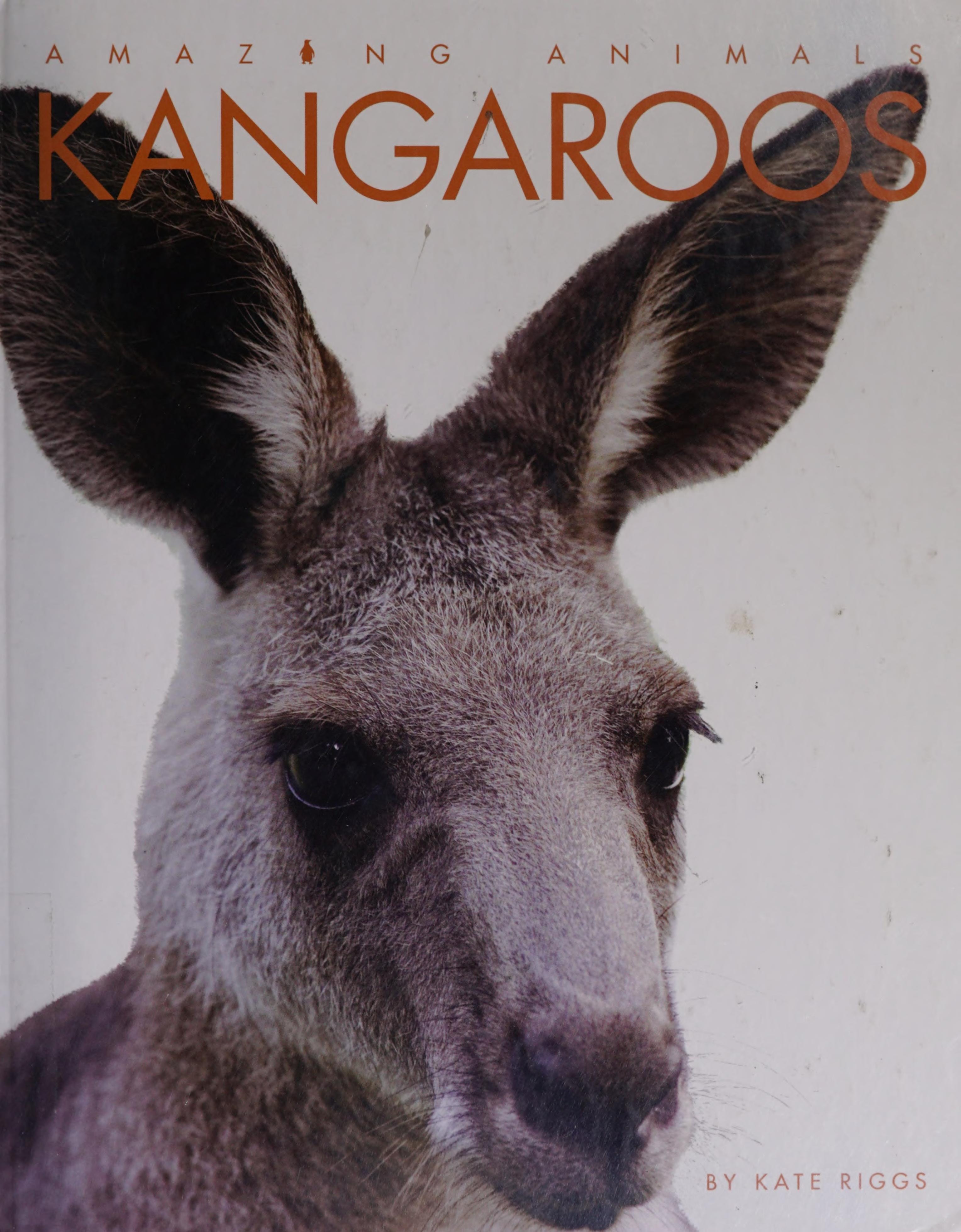 Kangaroos
