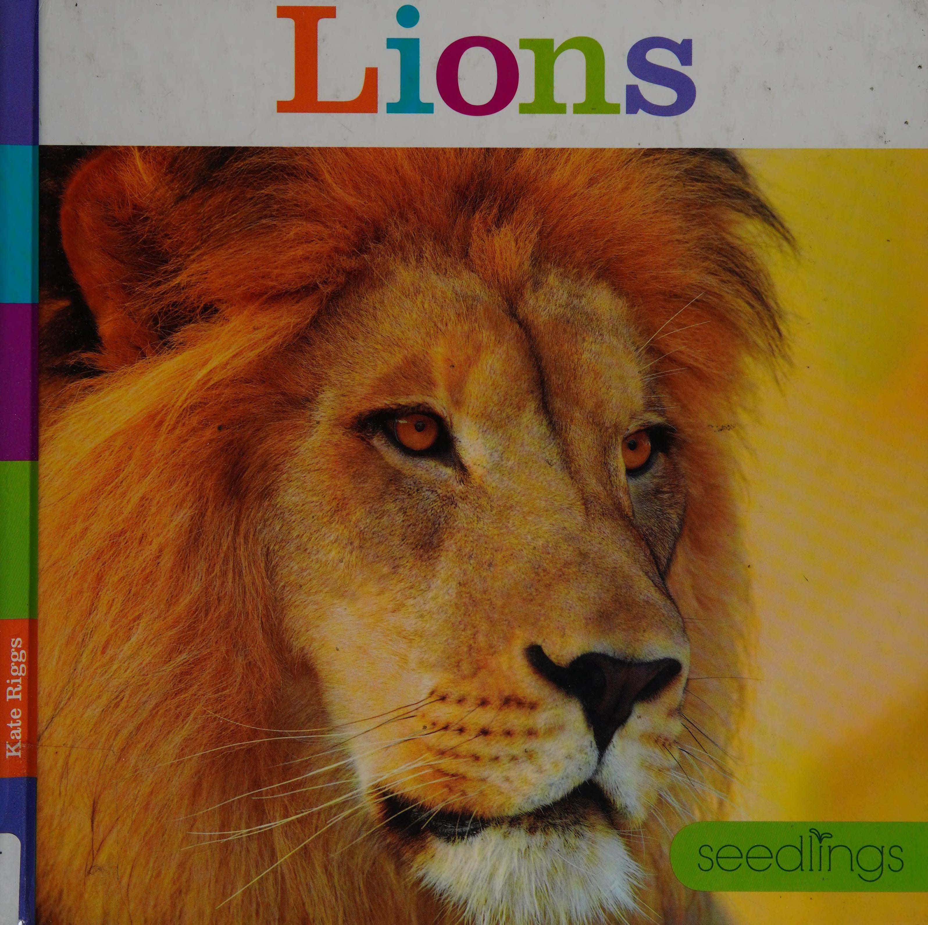 Lions