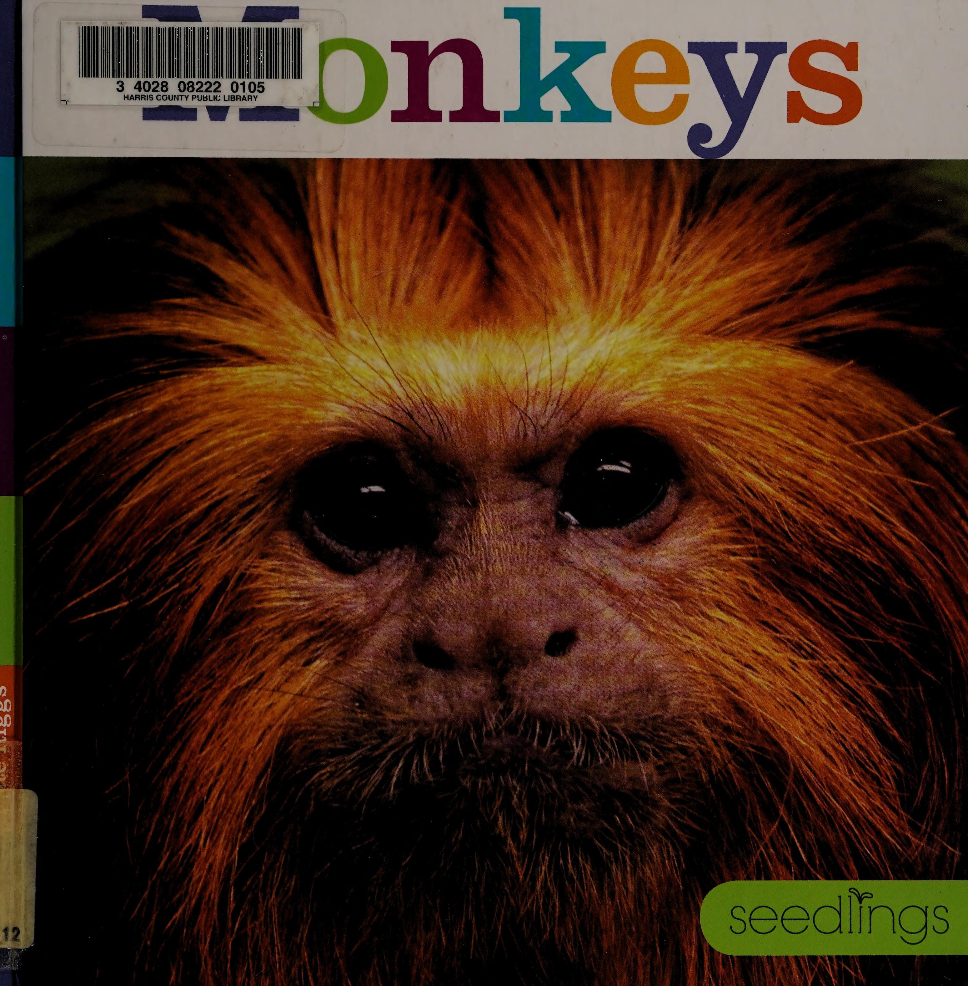 Monkeys