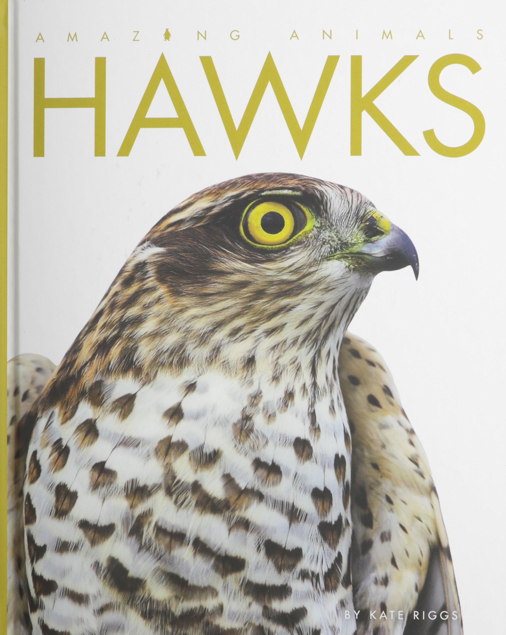 Hawks