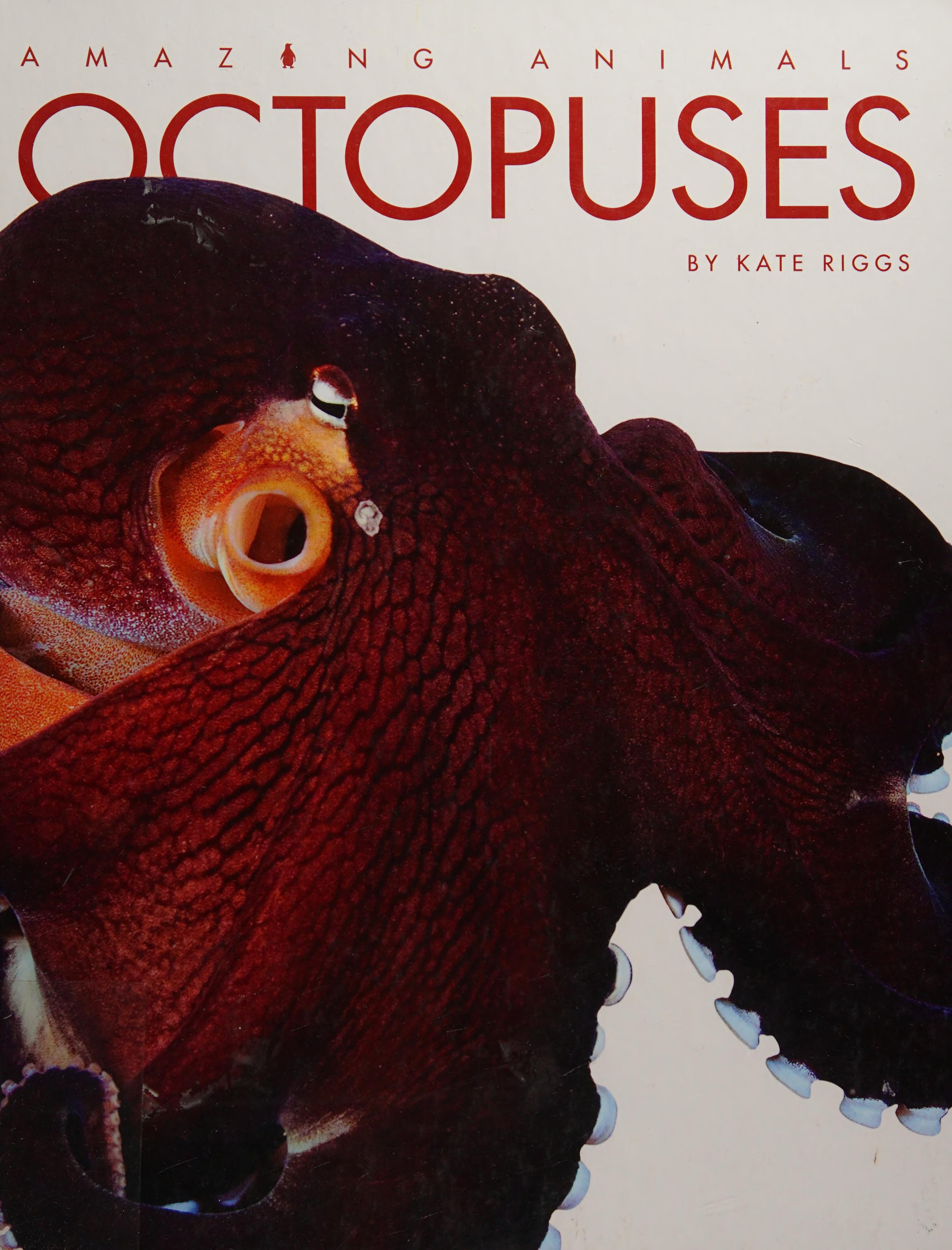 Octopuses