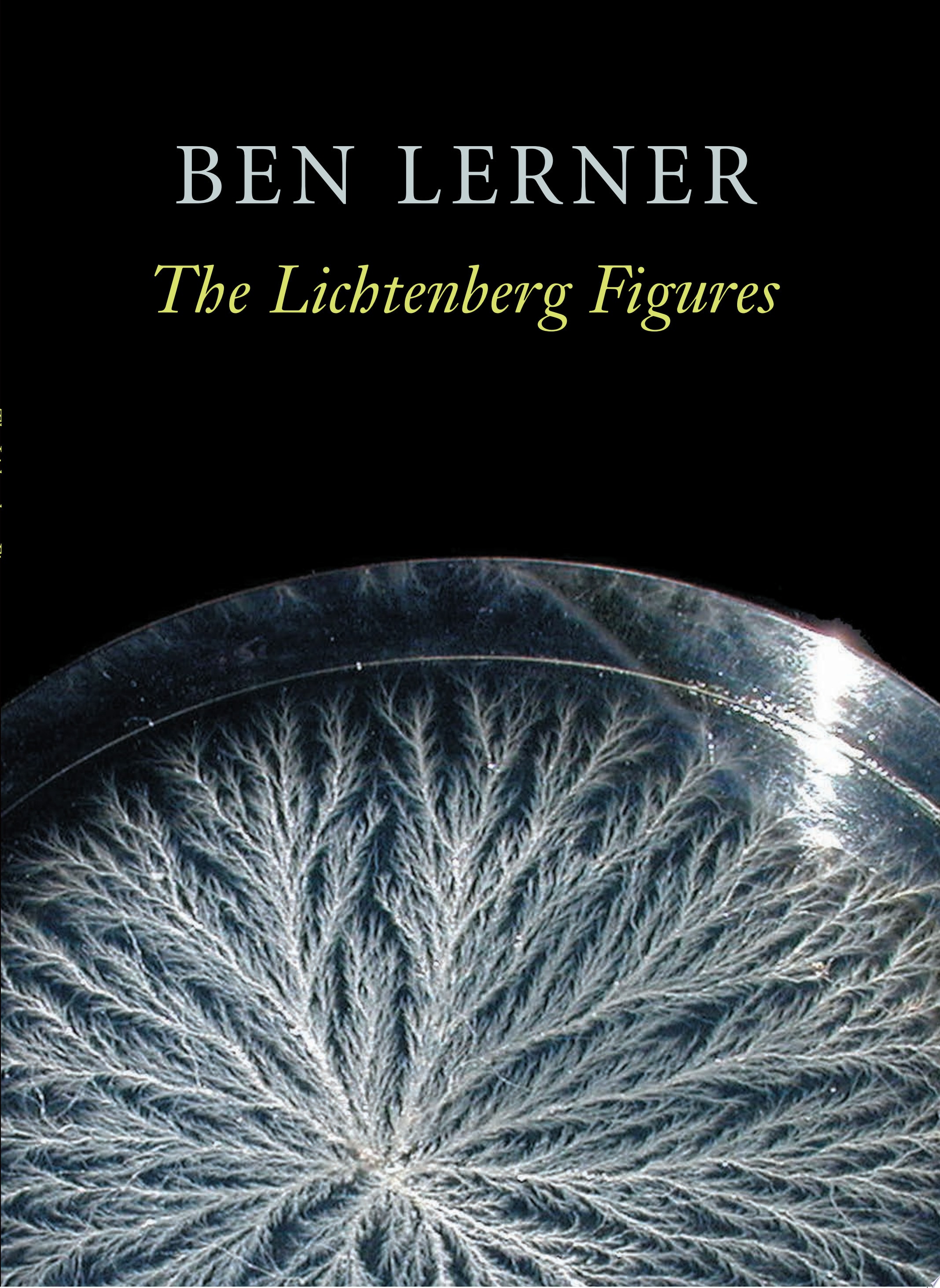The Lichtenberg Figures