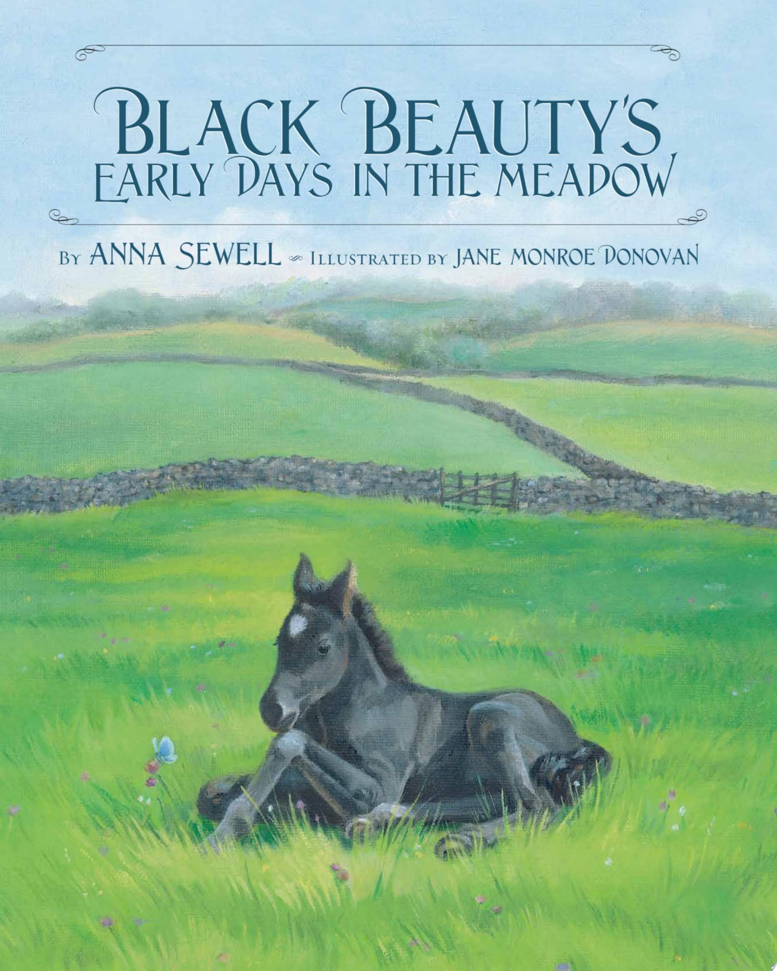 Black Beauty's Early Days in the Meadow