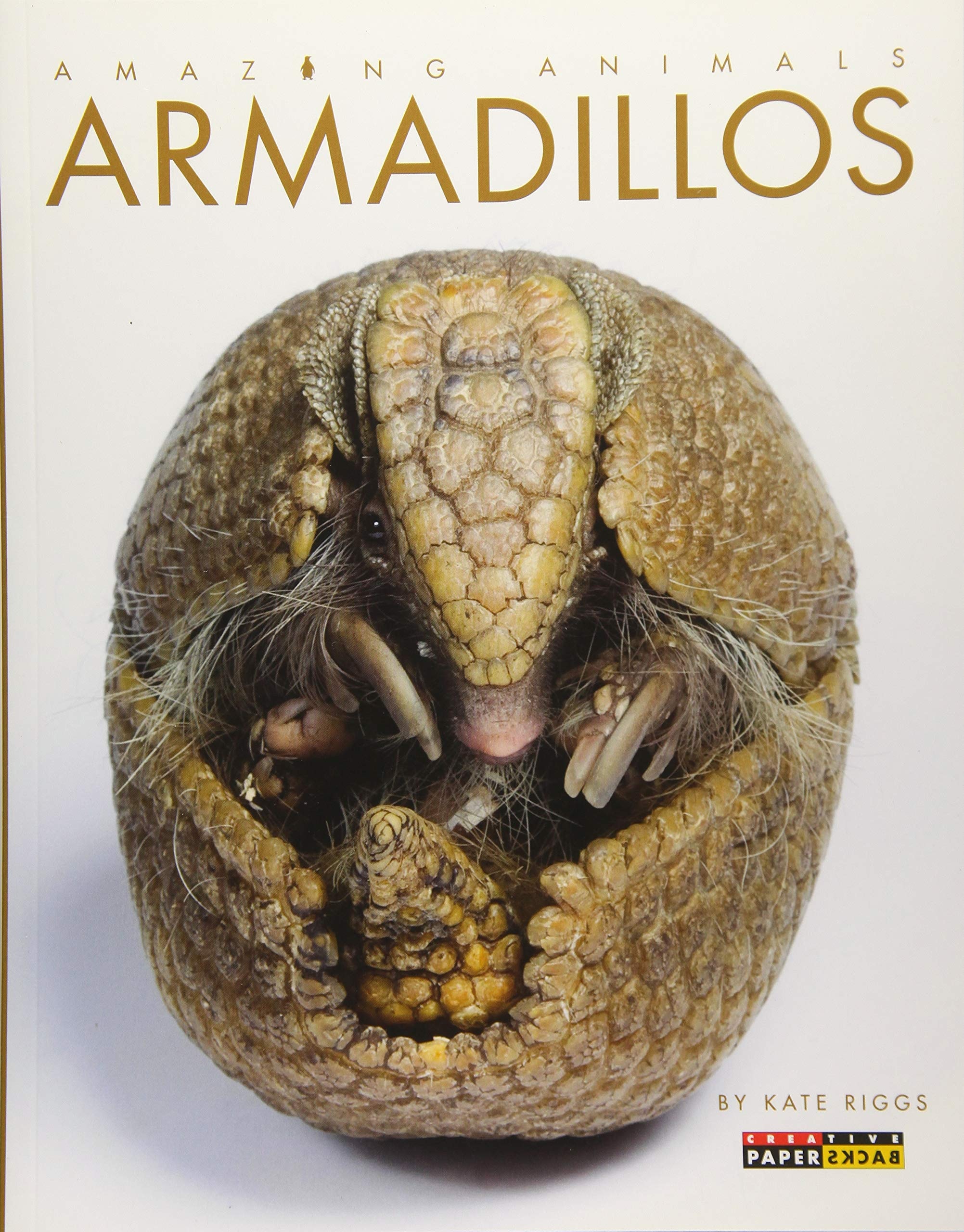 Armadillos
