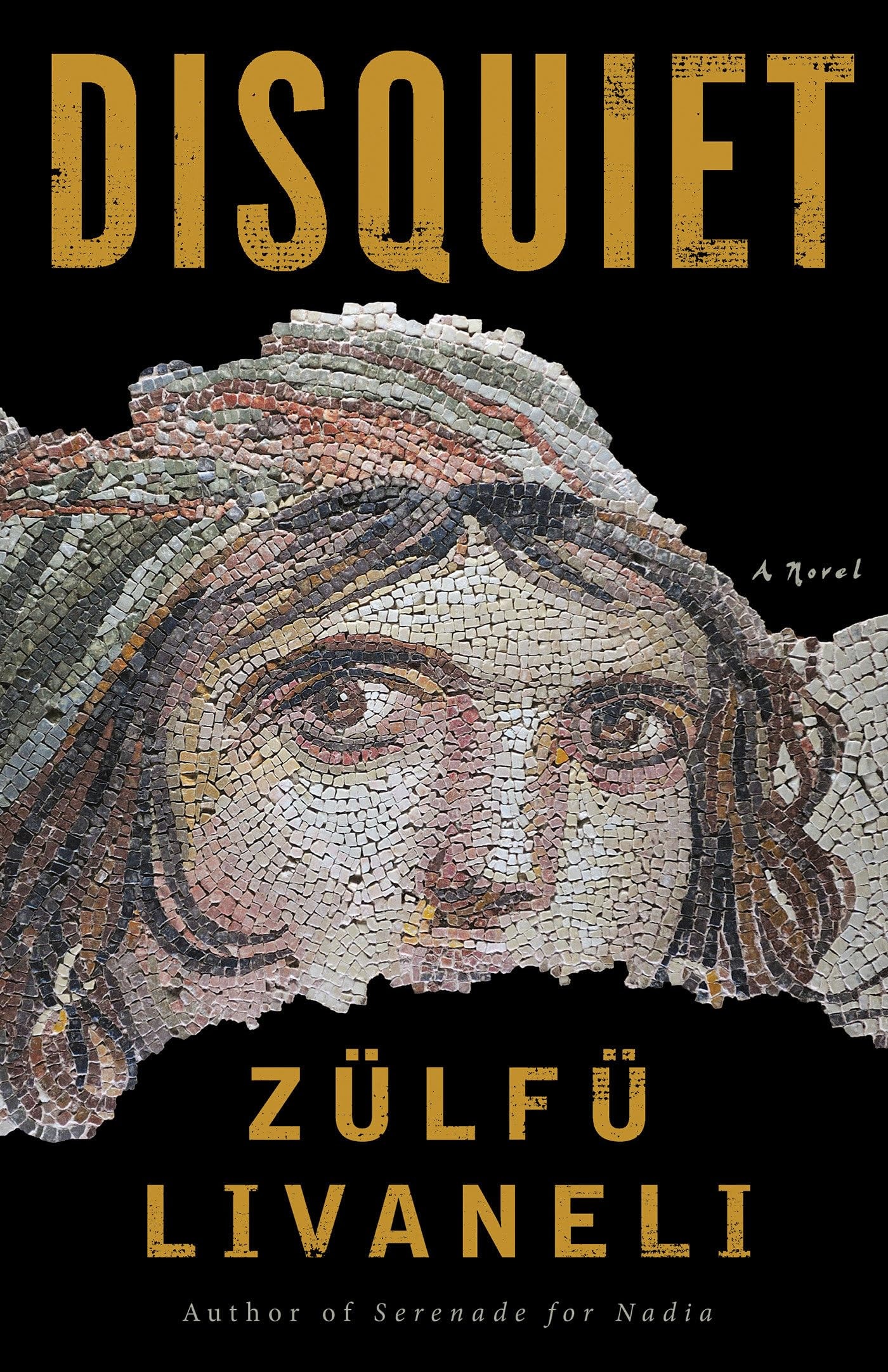 Disquiet A Novel