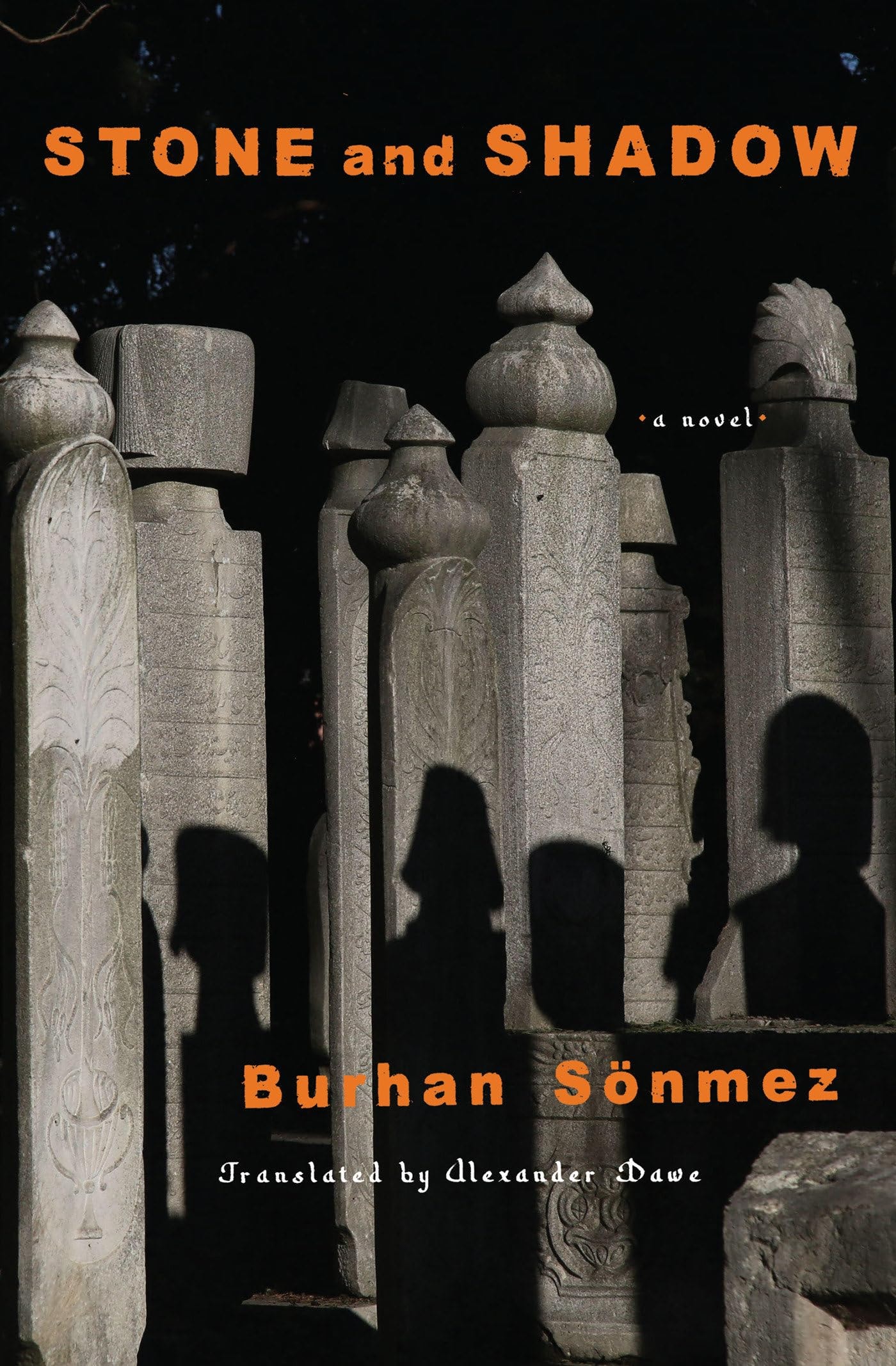Stone and Shadow A Novel