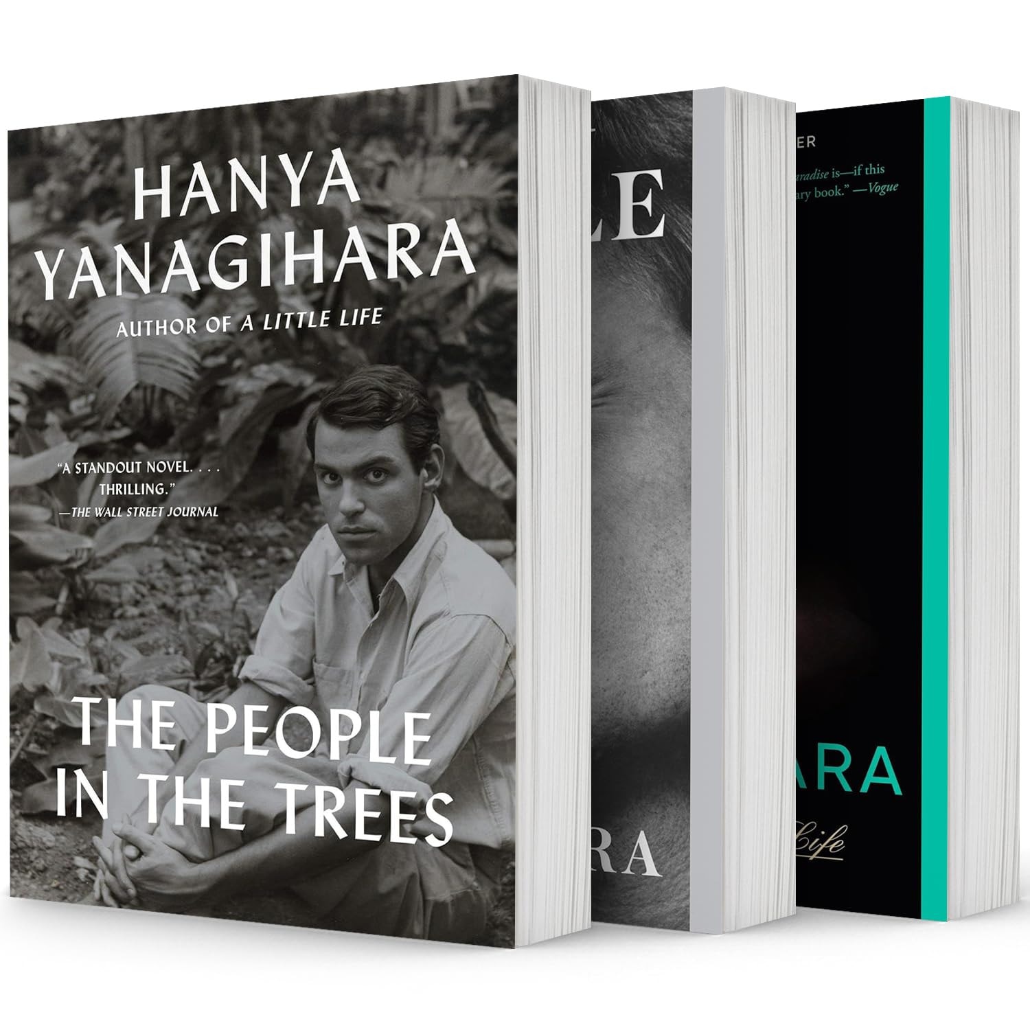 Hanya Yanagihara Bestselling,3 Books Collection Set,the People in the Trees,a Little Life,to Paradise by Hanya Yanagihara