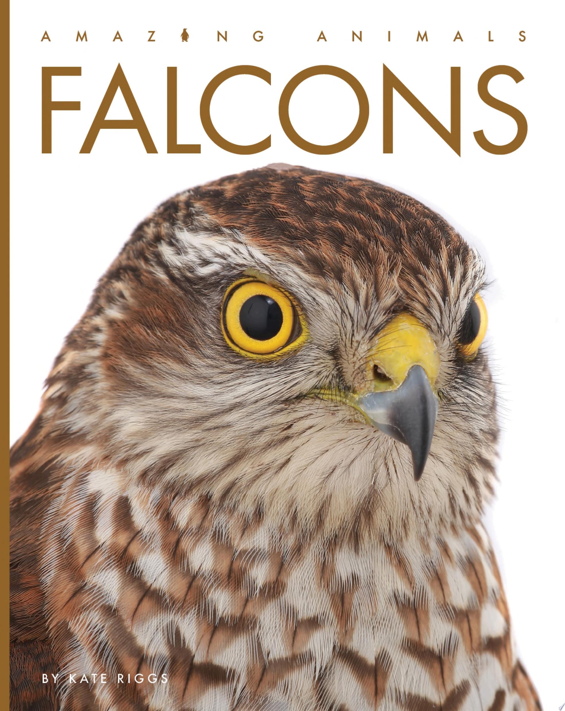 Falcons