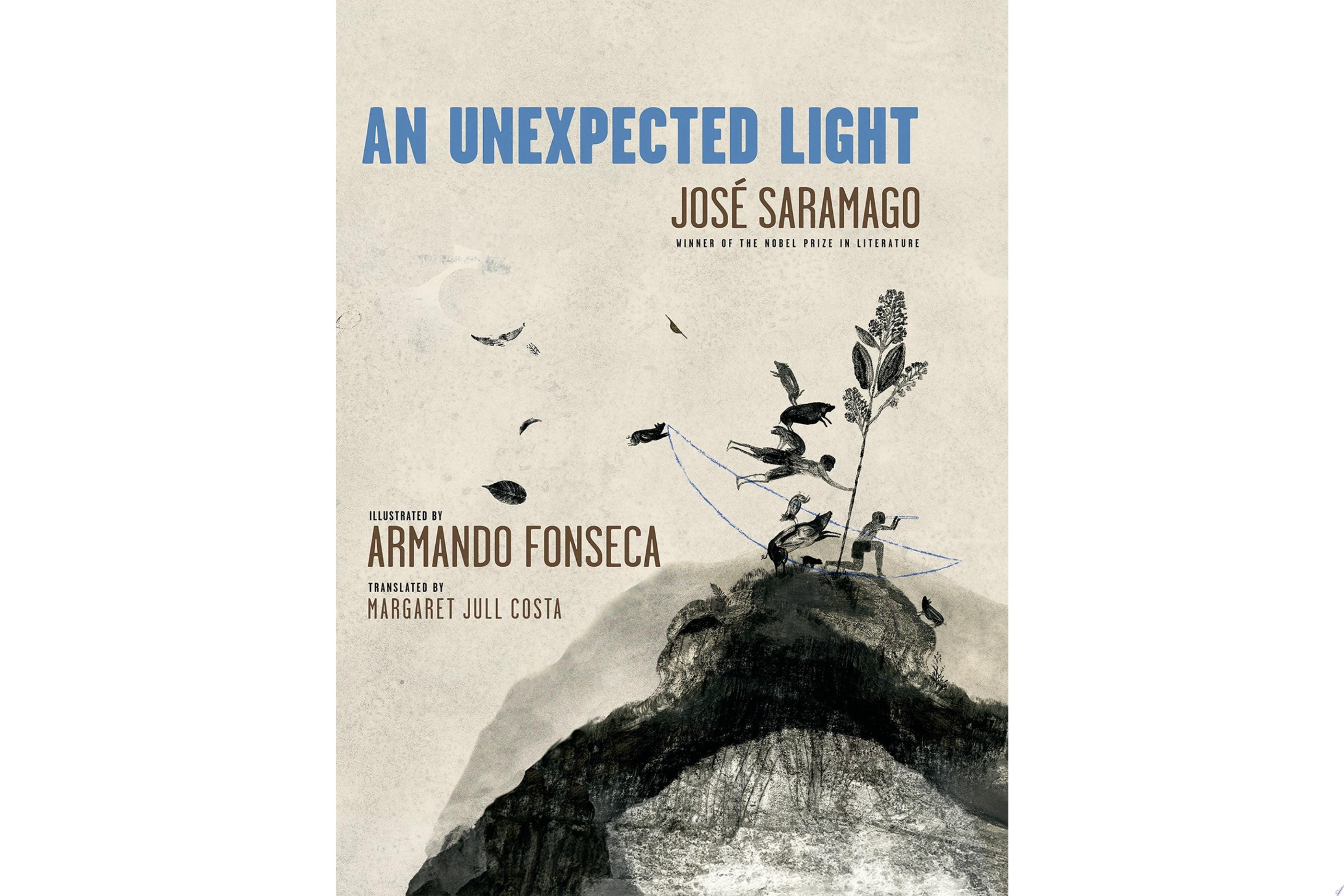 An Unexpected Light