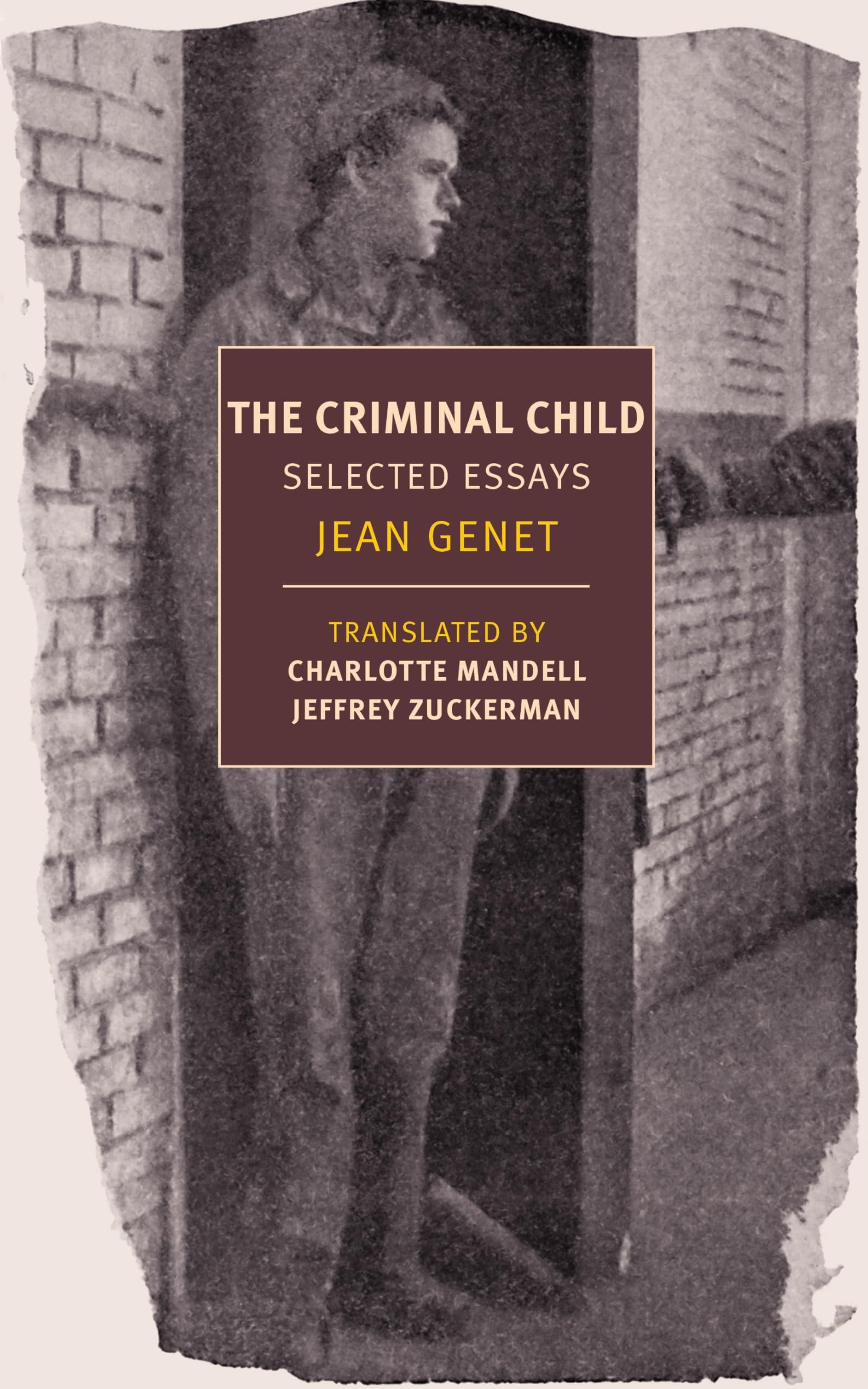 The Criminal Child Selected Essays