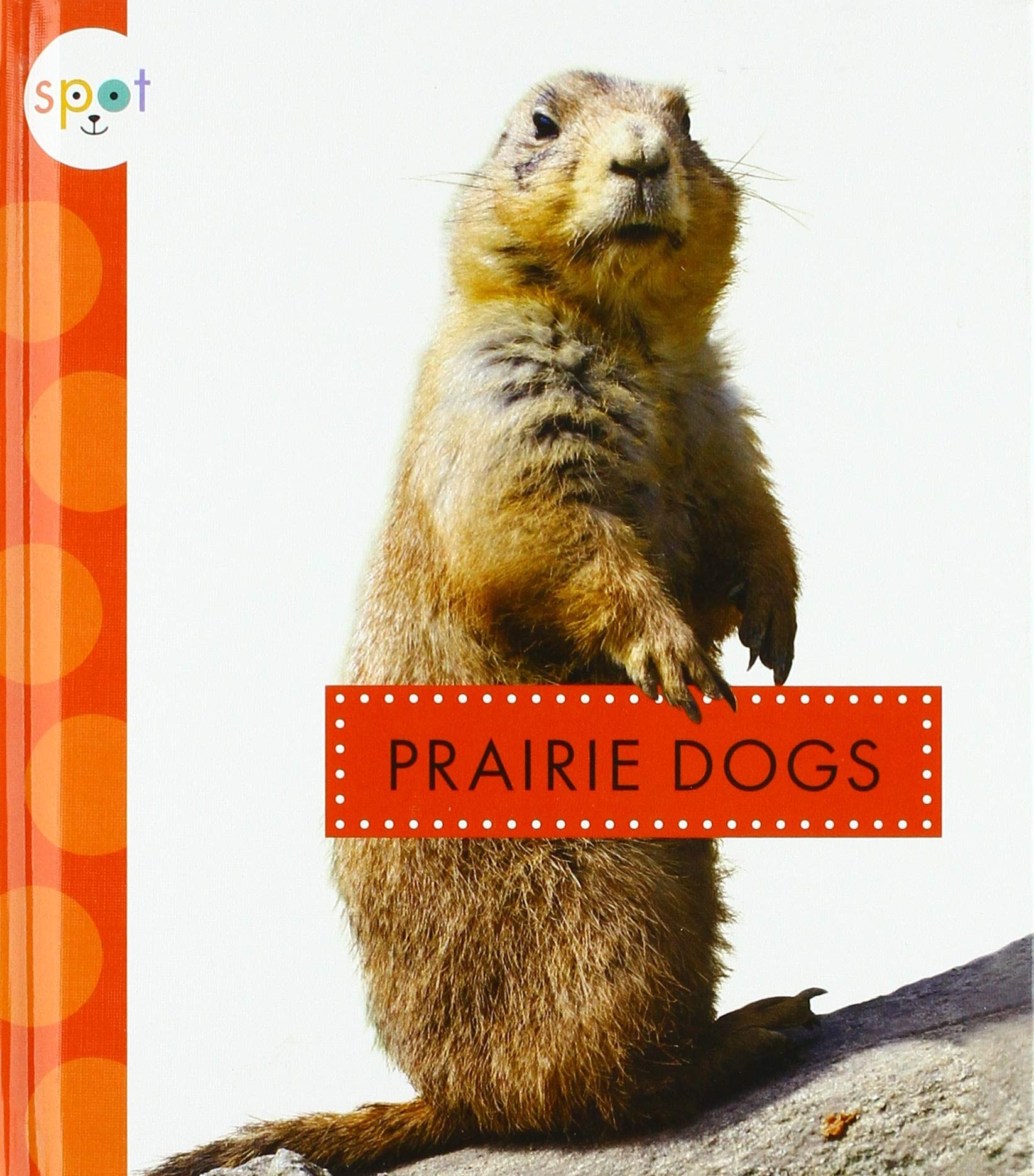 Prairie Dogs