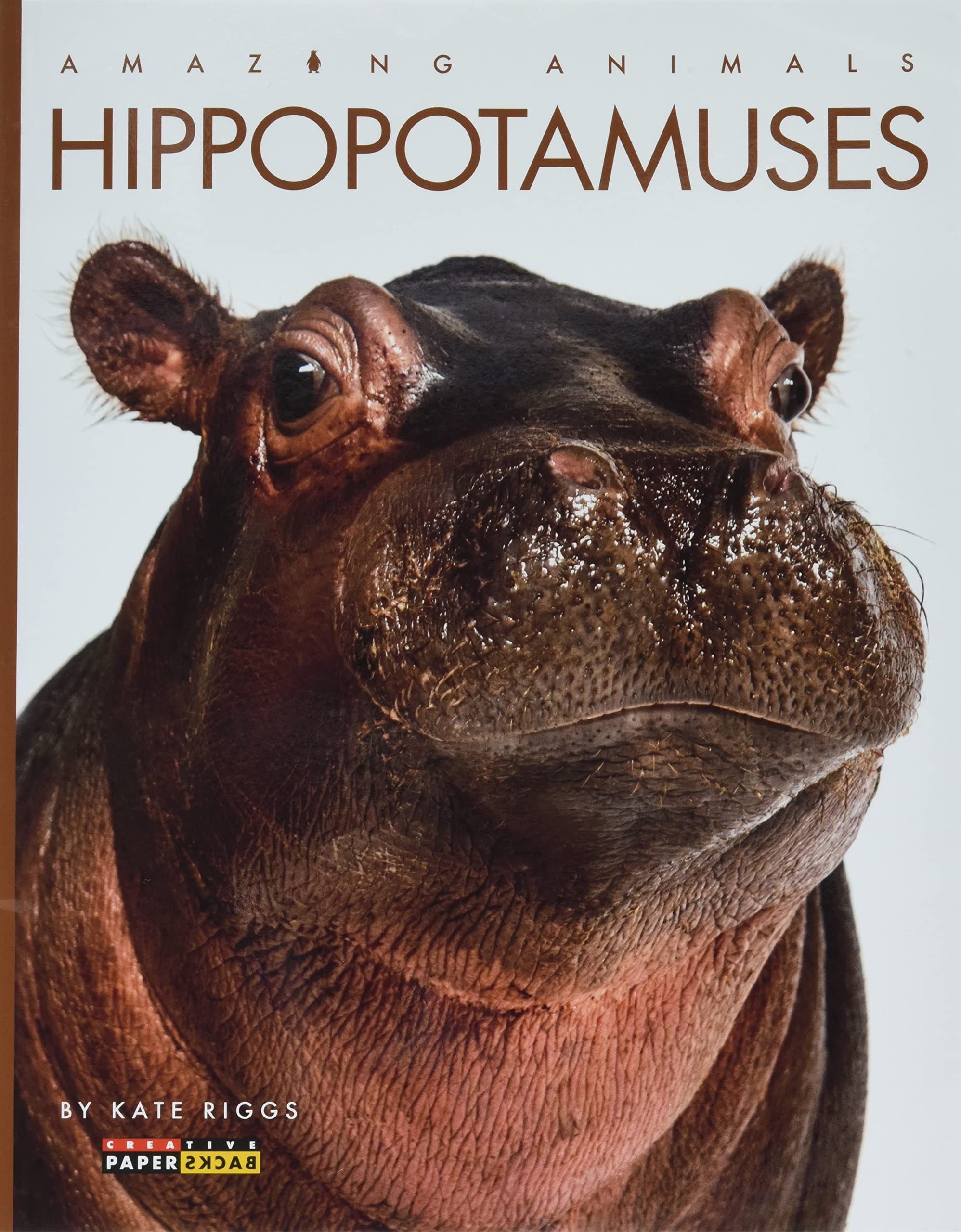 Hippopotamuses