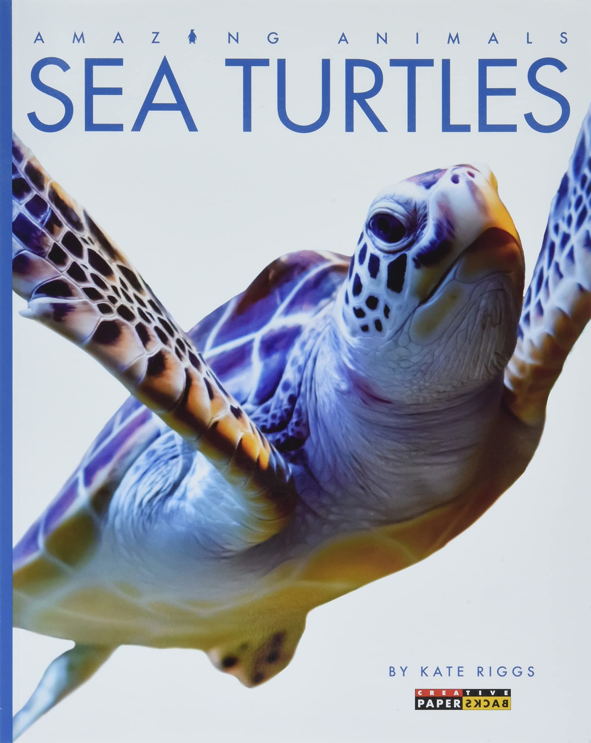 Sea Turtles