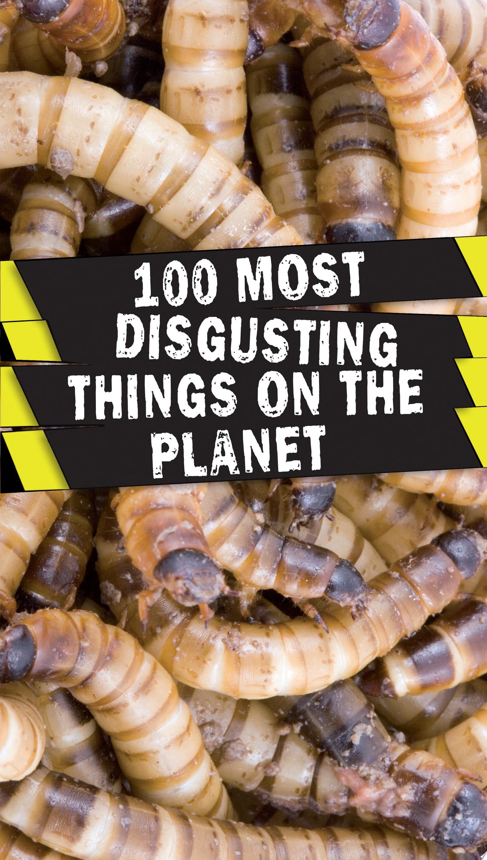 100 Most Disgusting Things on the Planet