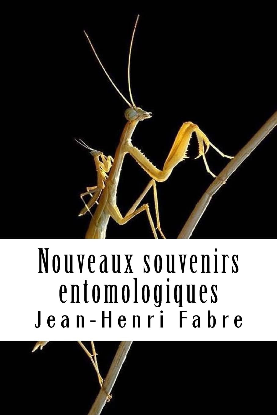 Nouveaux Souvenirs Entomologiques - Livre II