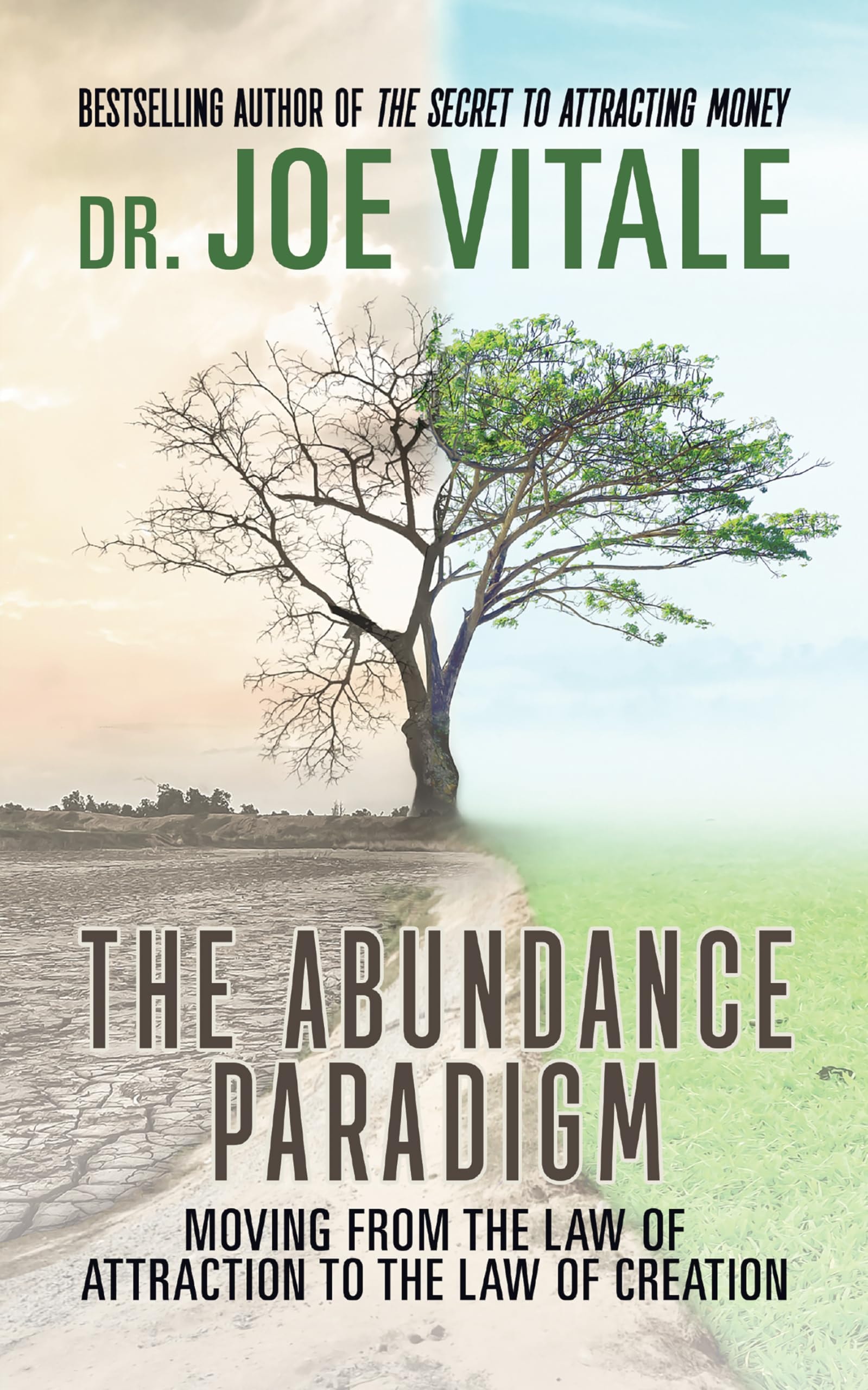 The Abundance Paradigm Moving from the Law of Attraction to the Law of Creation