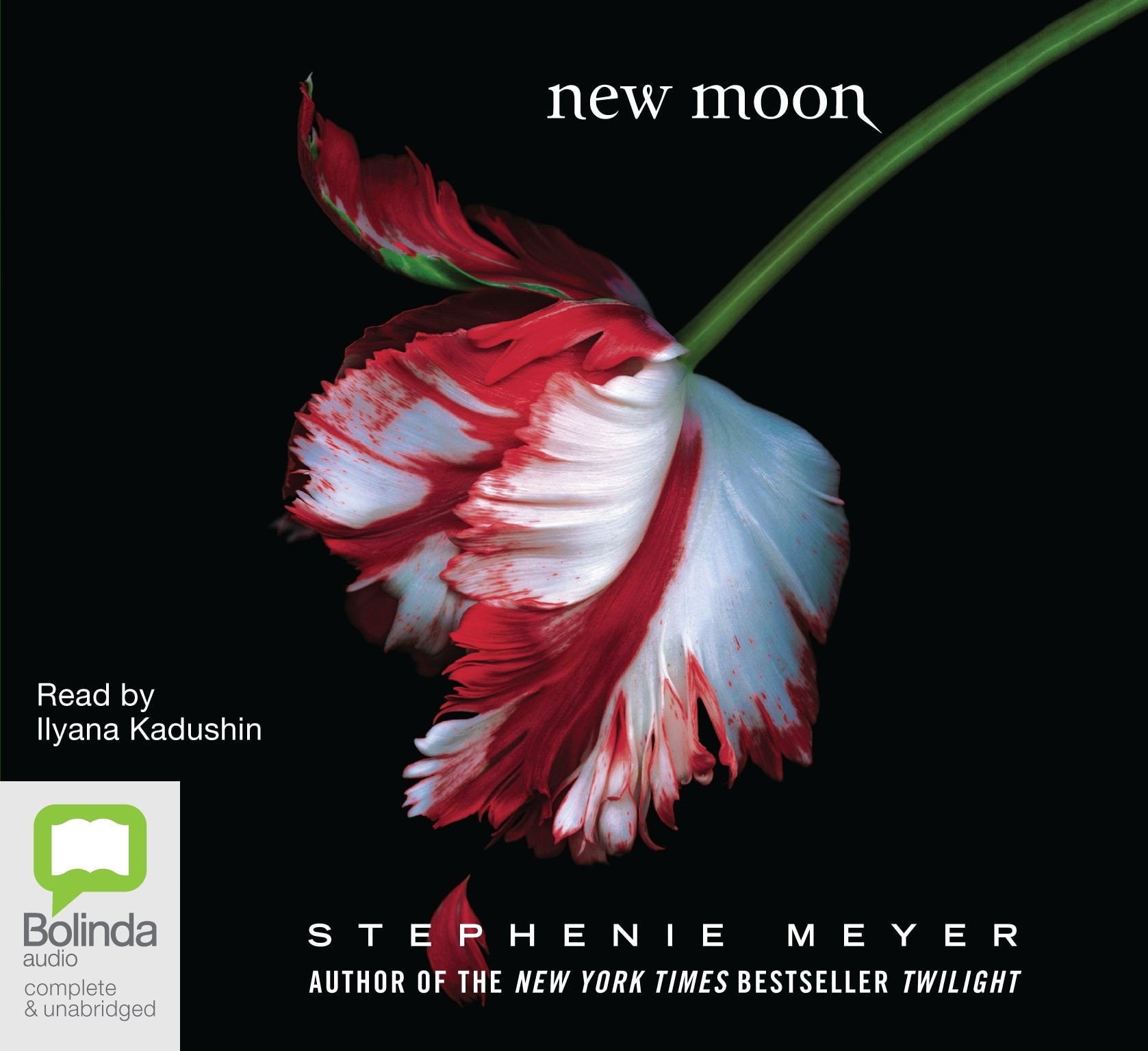 New Moon: The Twilight Saga Book 2 (MP3)
