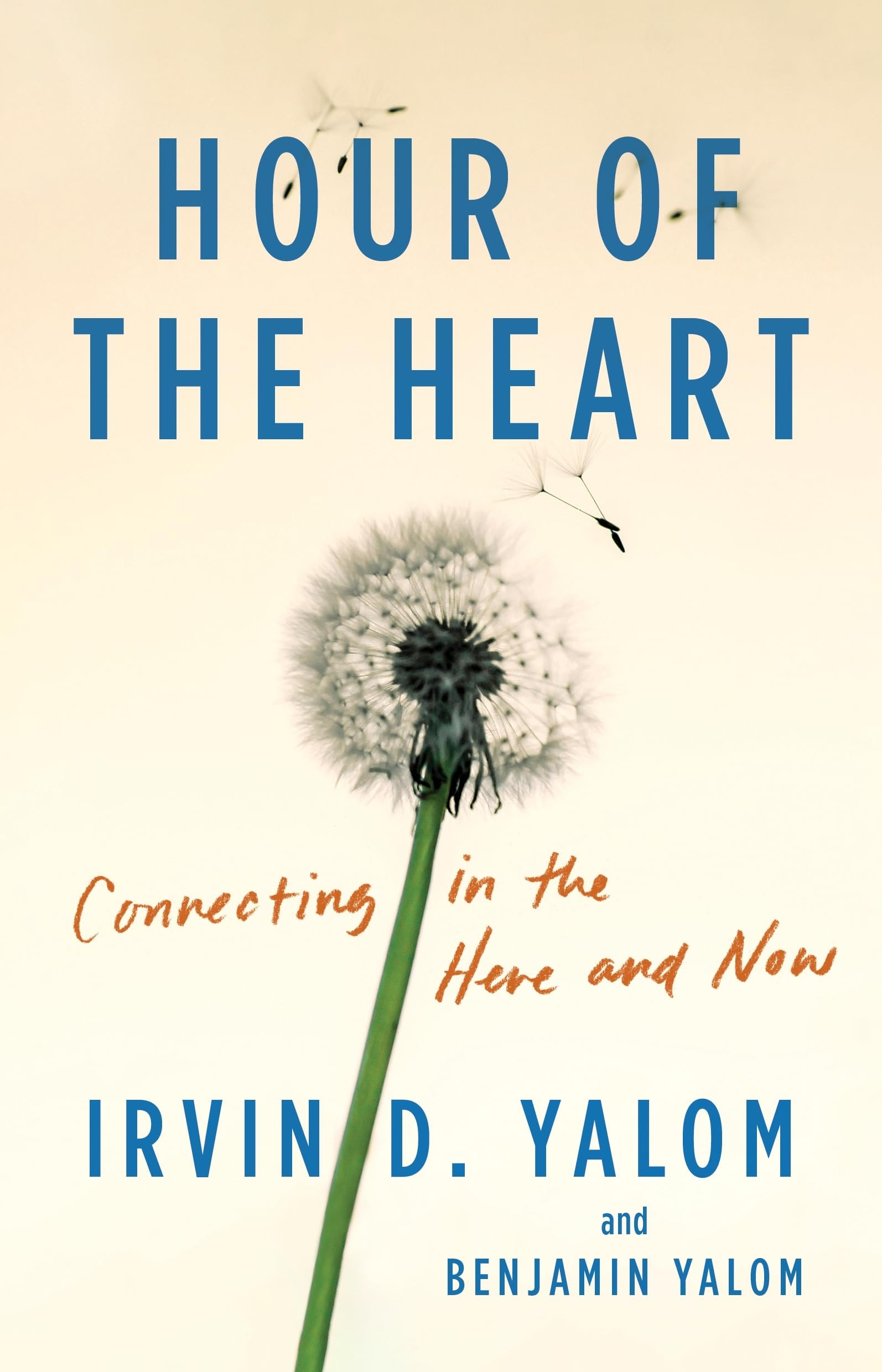 Hour of the Heart Empathy and Connection in the Here-And-now