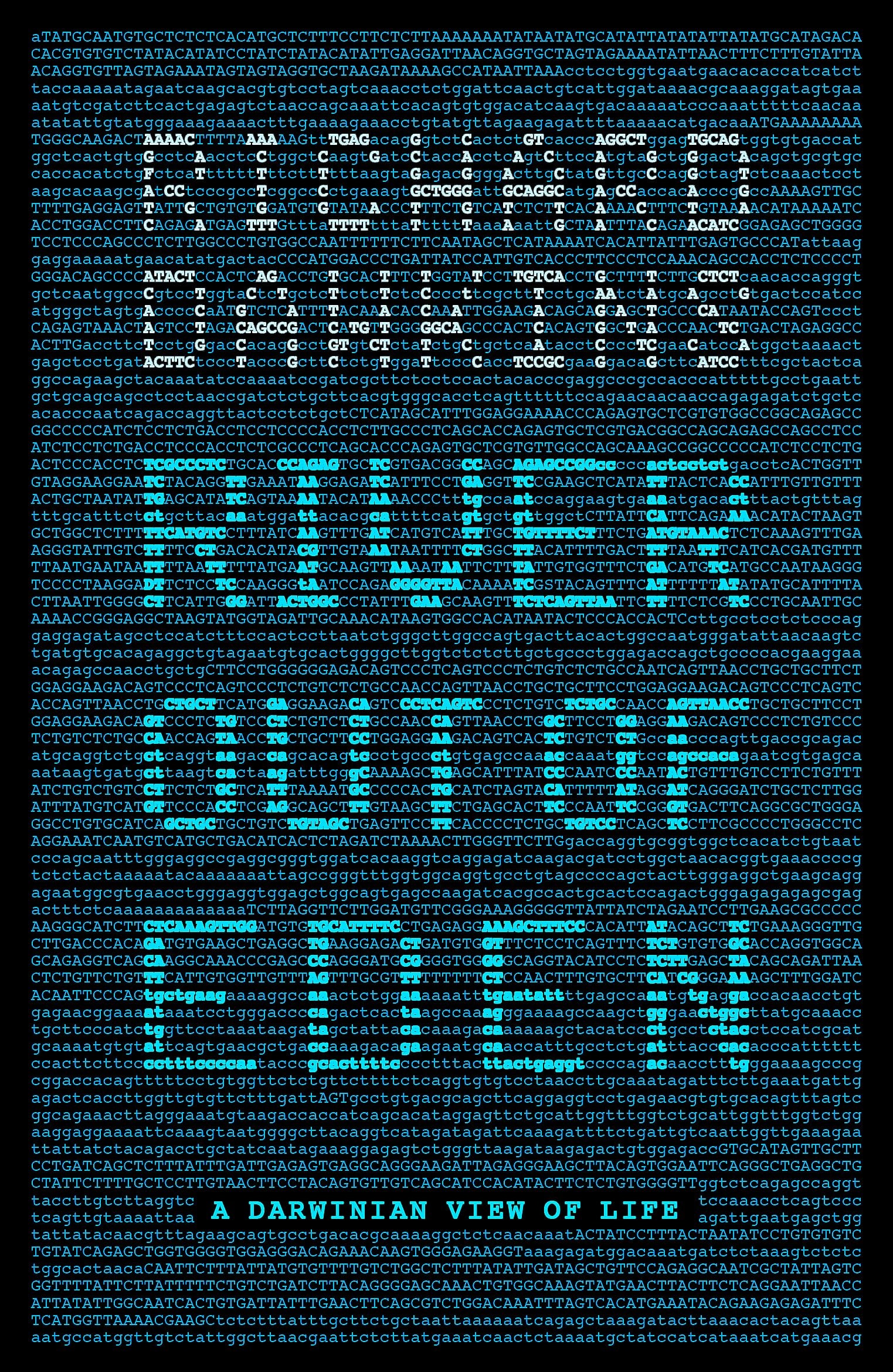 River Out of Eden A Darwinian View of Life