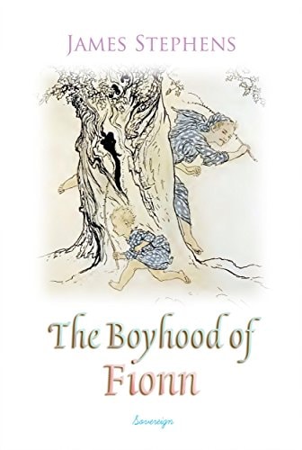 The Boyhood of Fionn (Irish Fairy Tales)