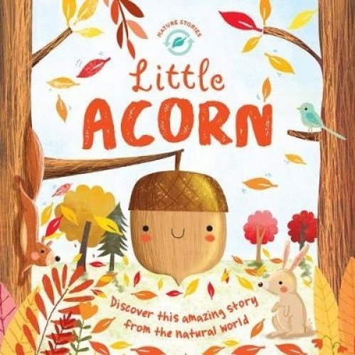 Little Acorn