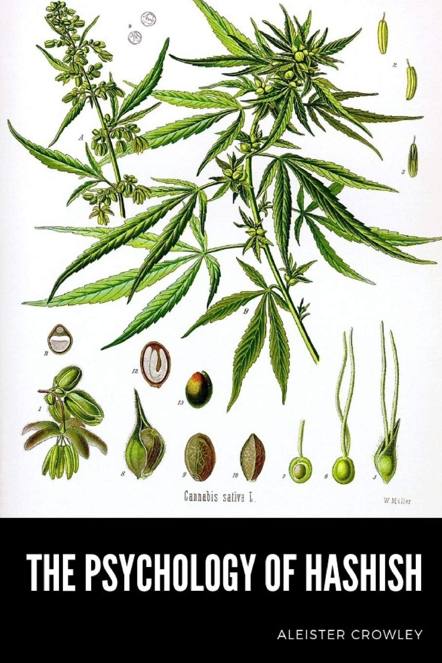 The Psychology of Hashish