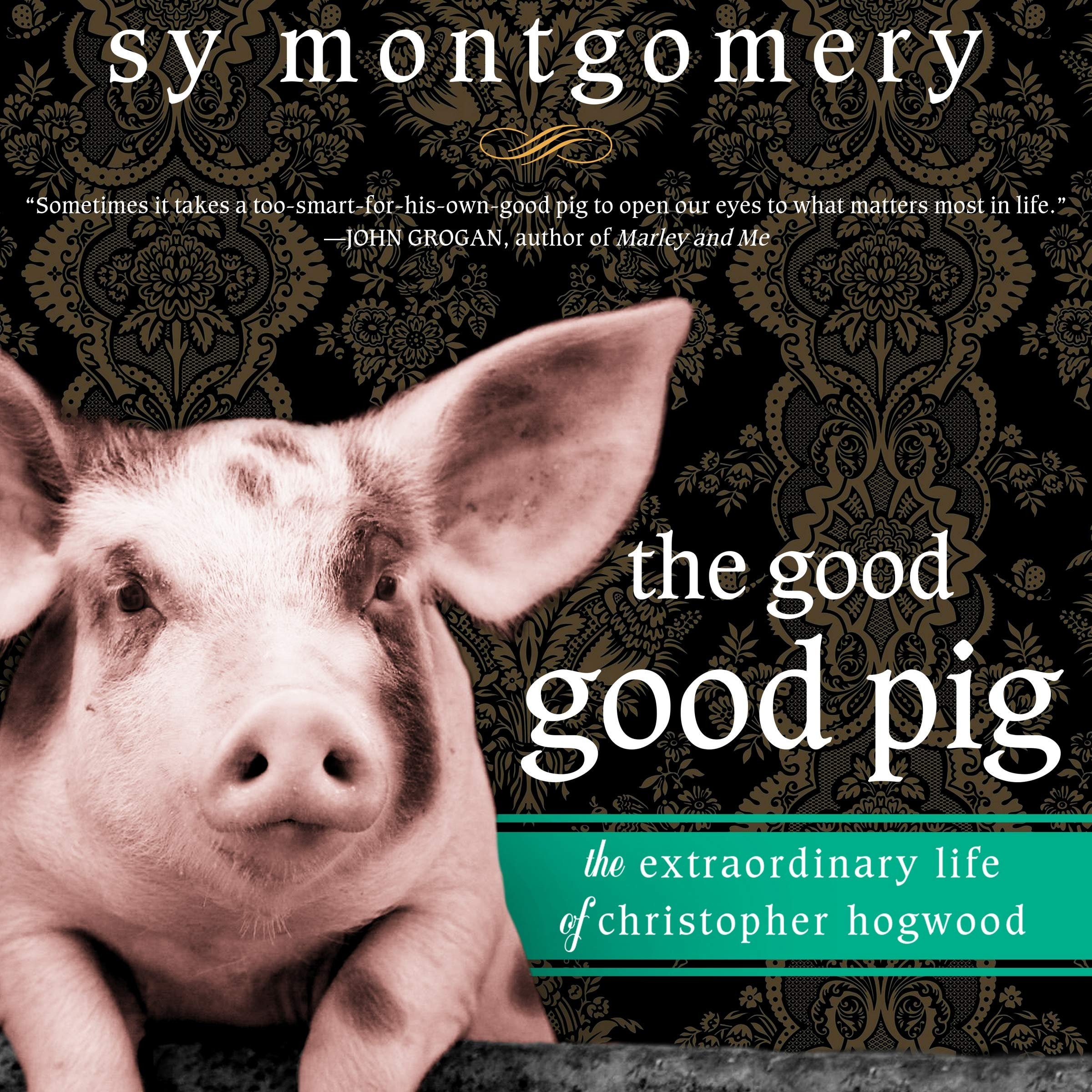 The Good Good Pig The Extraordinary Life of Christopher Hogwood