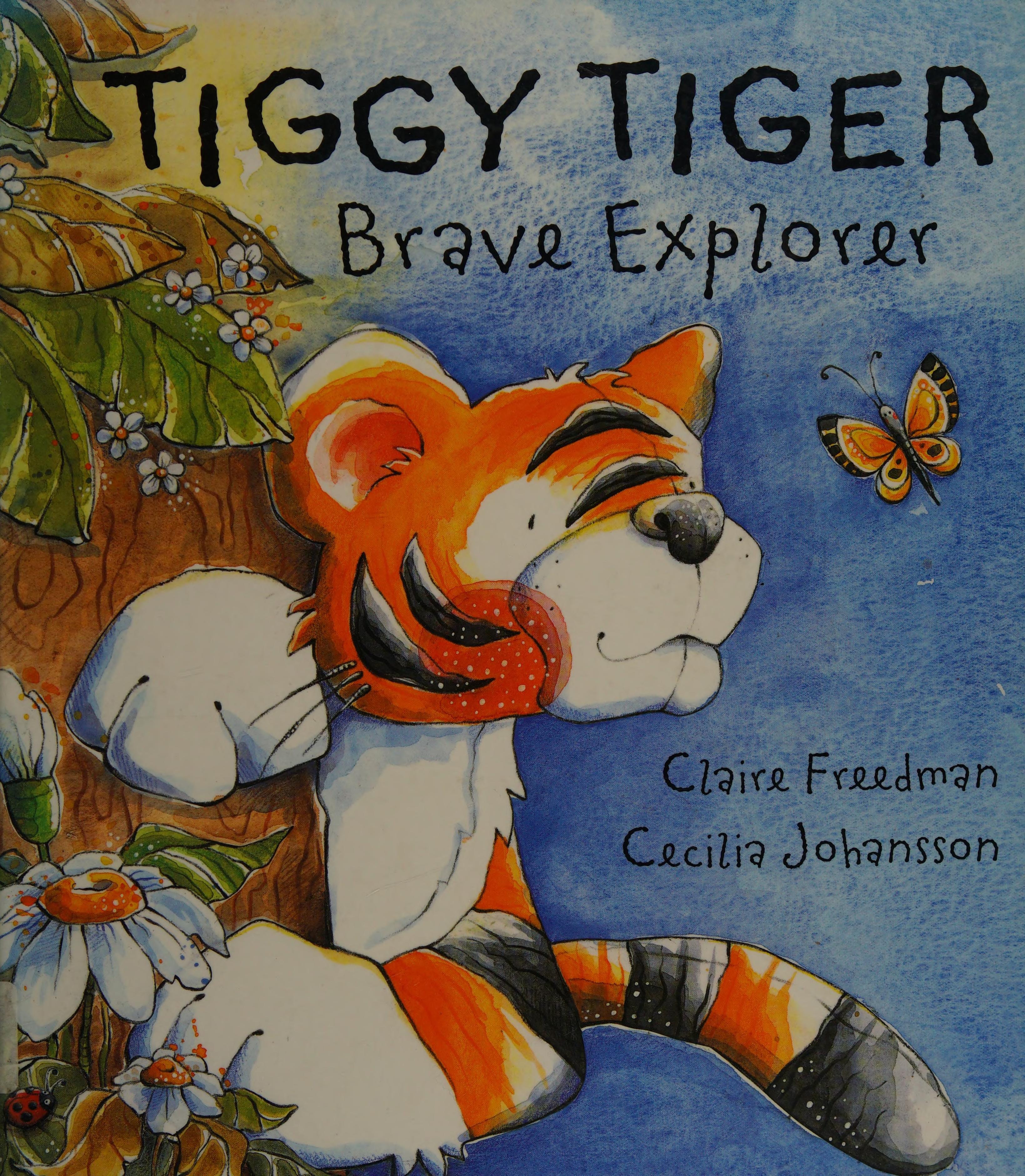 Tiggy Tiger, Brave Explorer