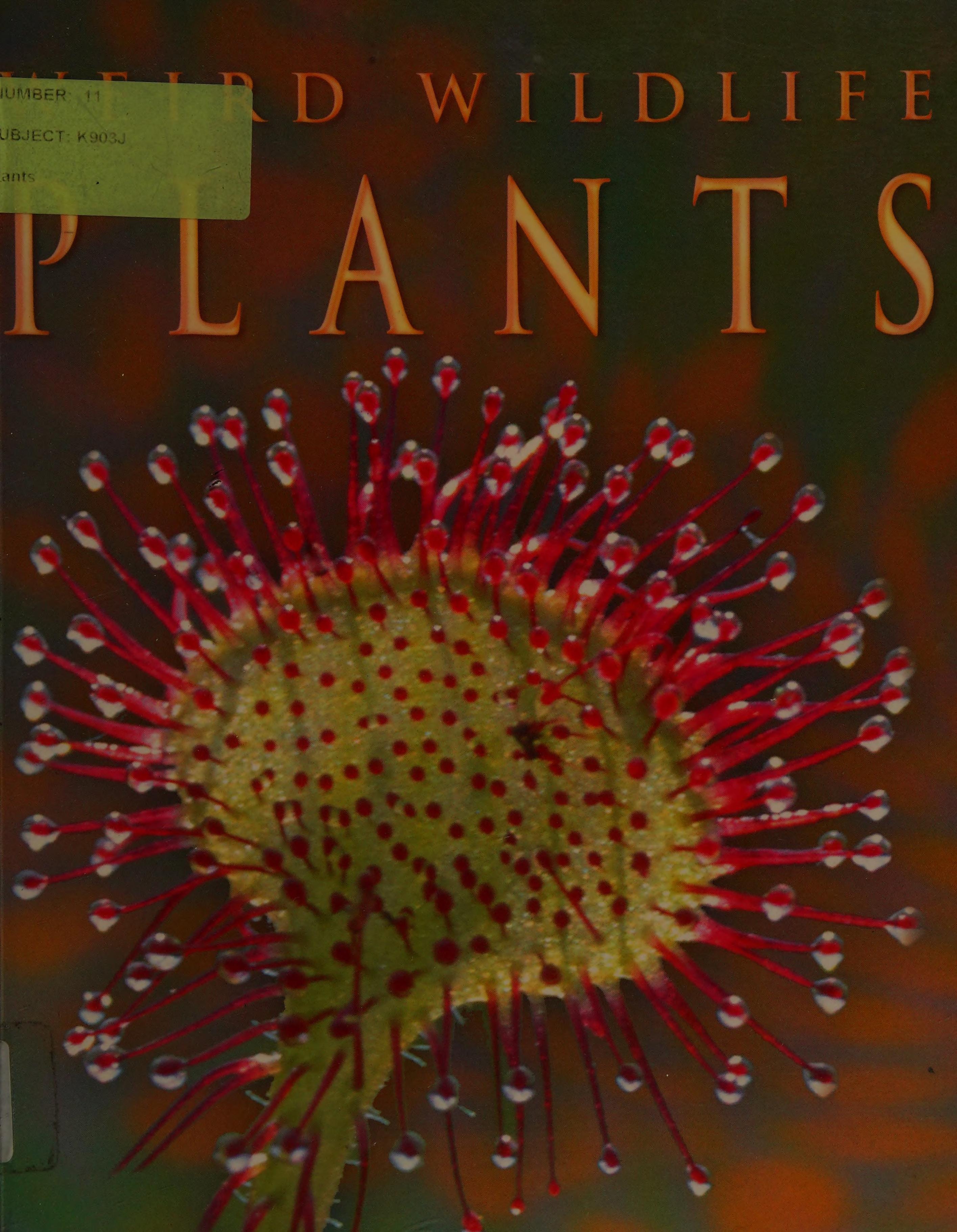 Plants