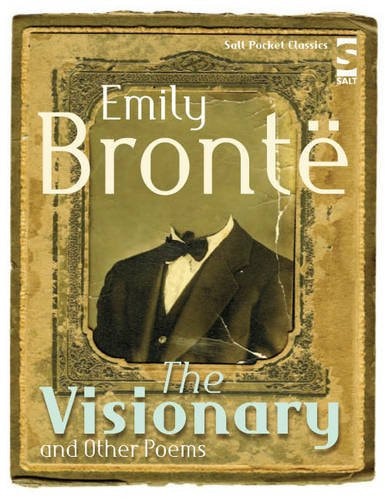 The Visionary and Other Poems (Salt Modern Poets)
