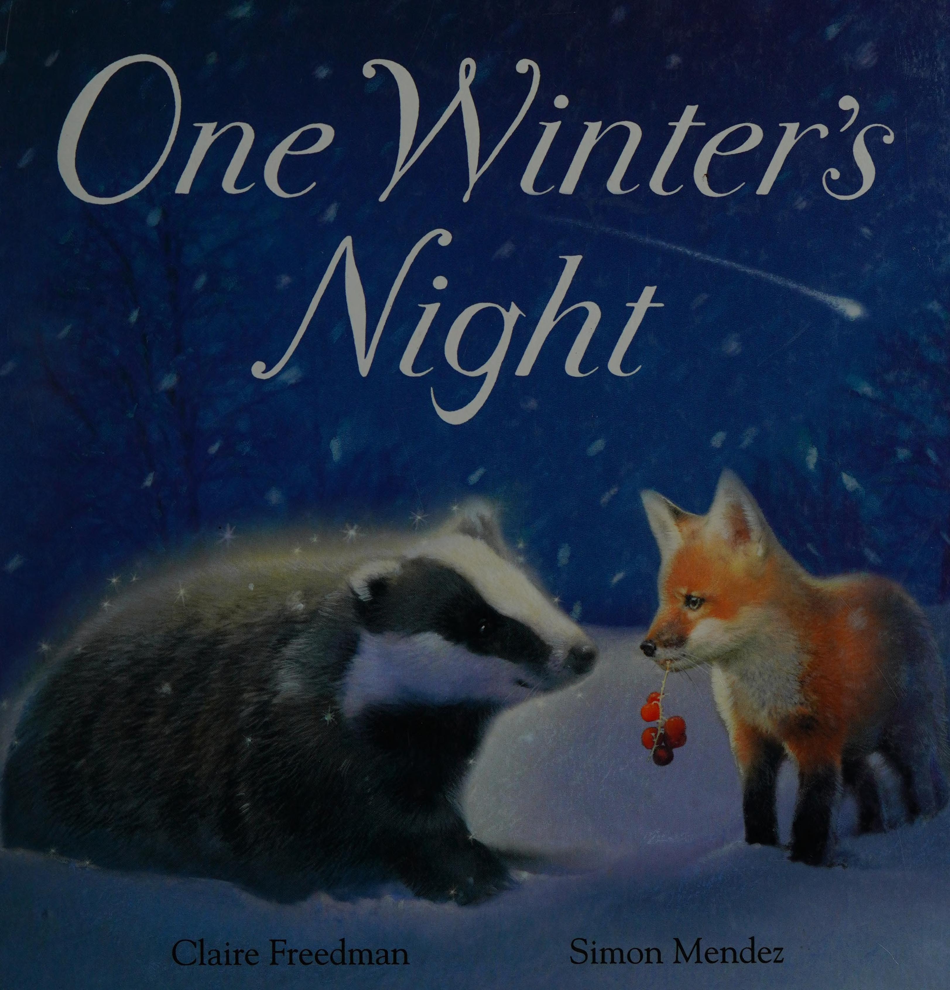 One Winter's Night