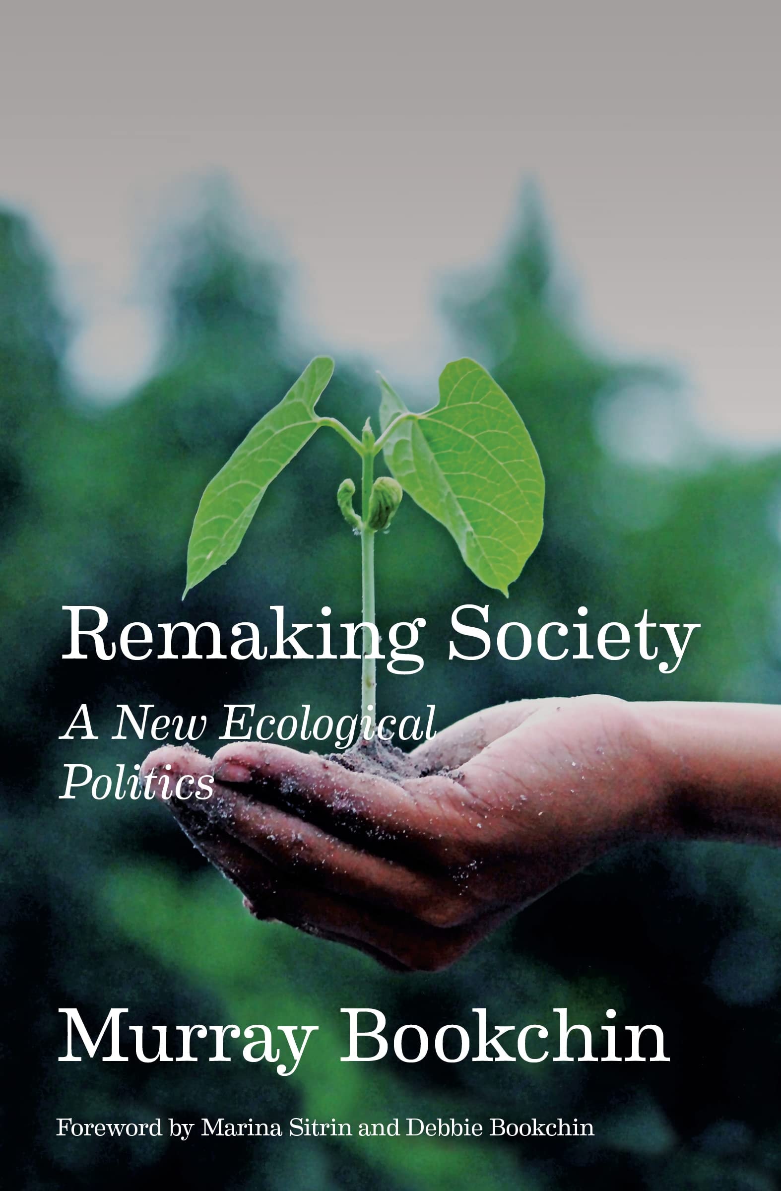 Remaking Society A New Ecological Politics
