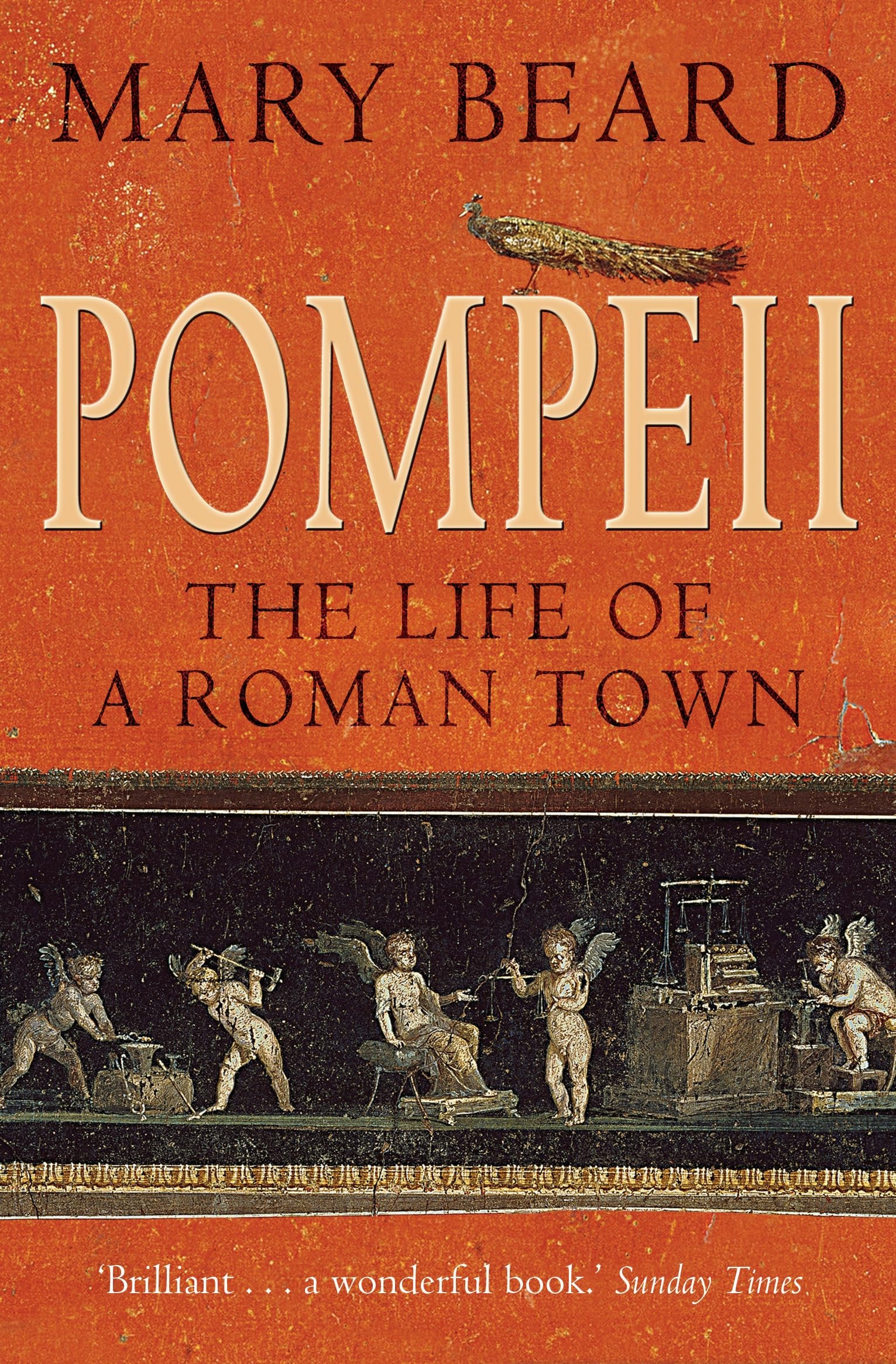 Pompeii The Life of a Roman Town