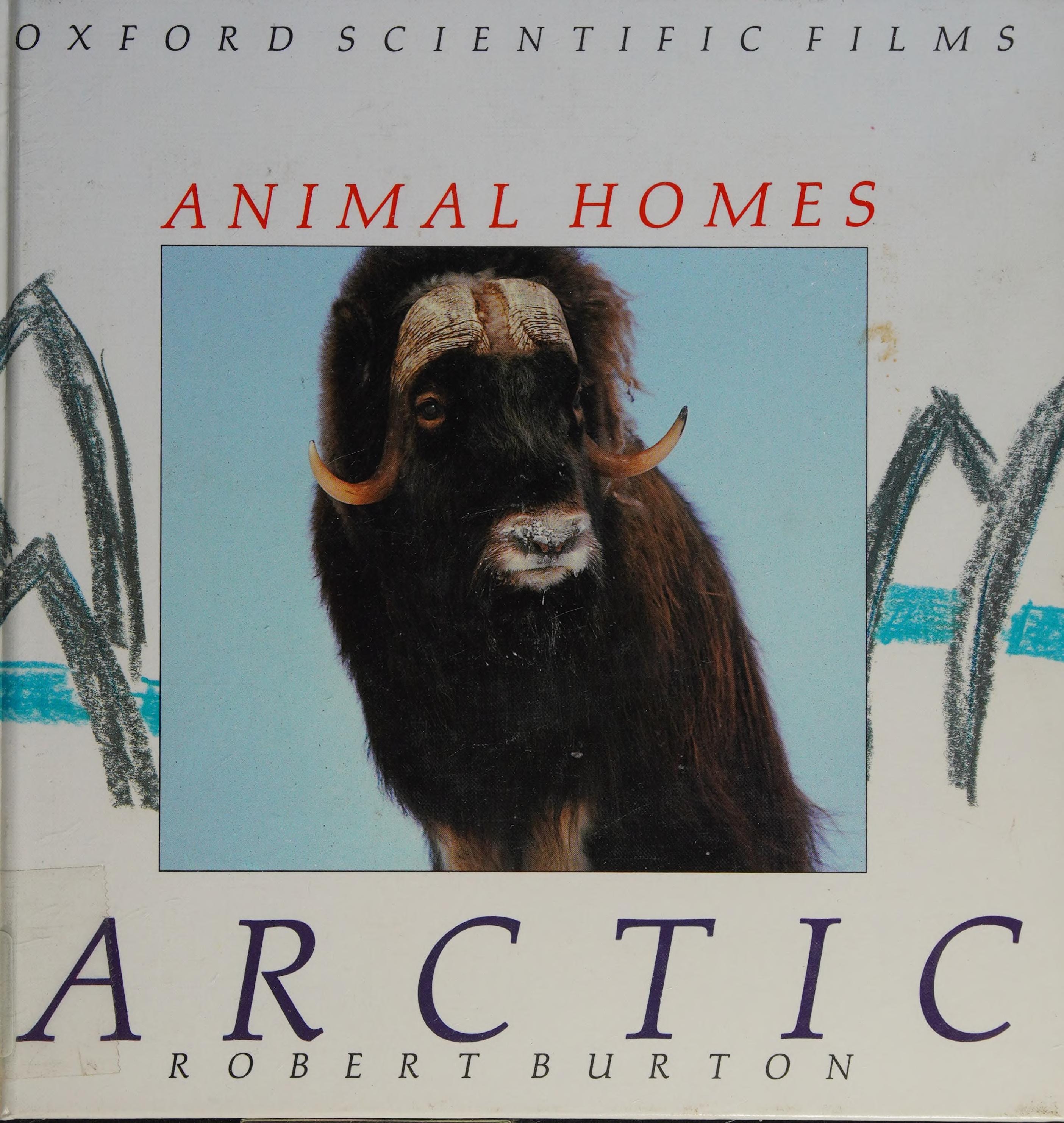 Arctic