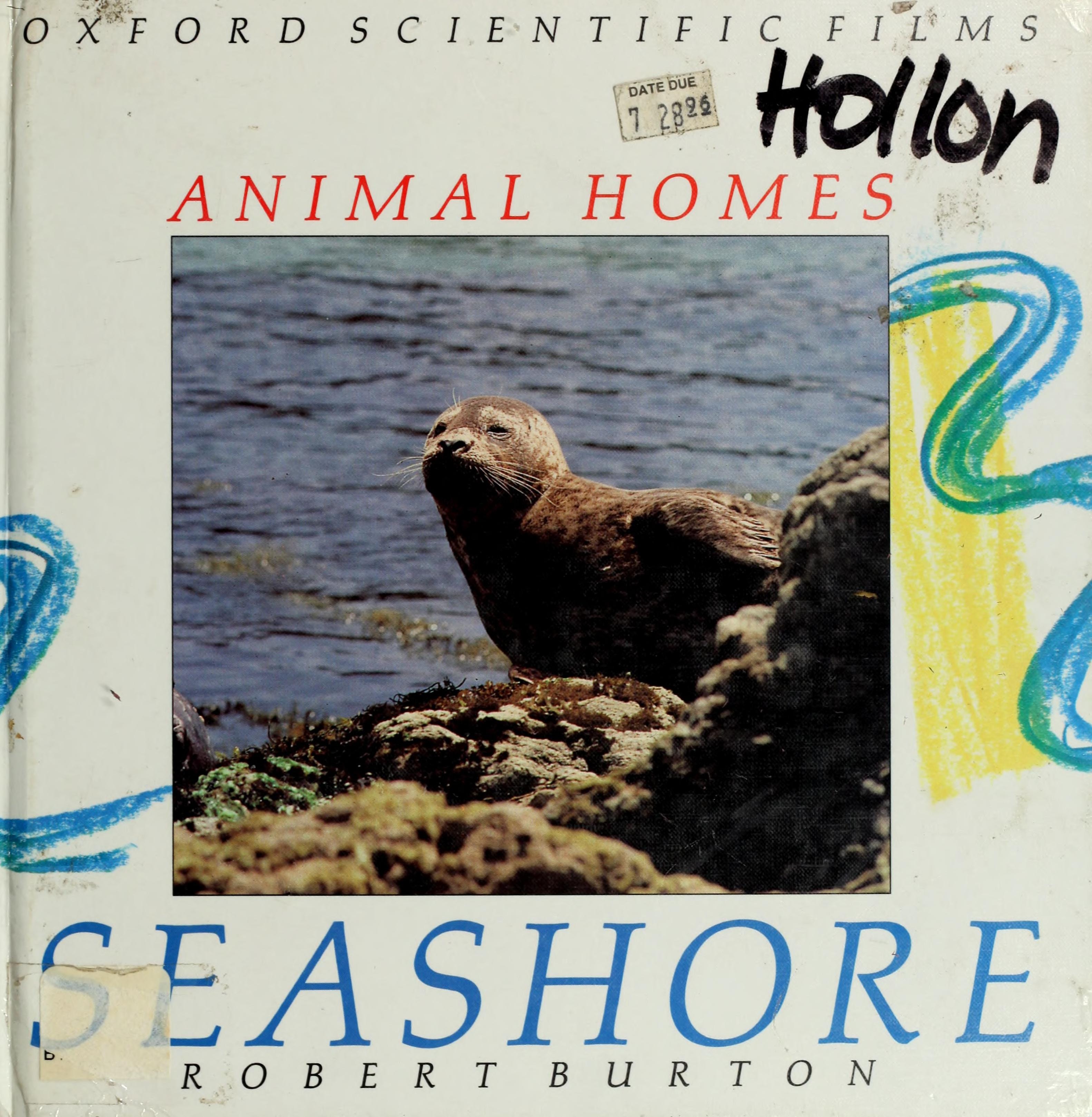 Seashore