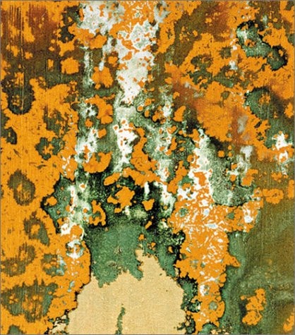 Andy Warhol Piss & Sex Paintings and Drawings