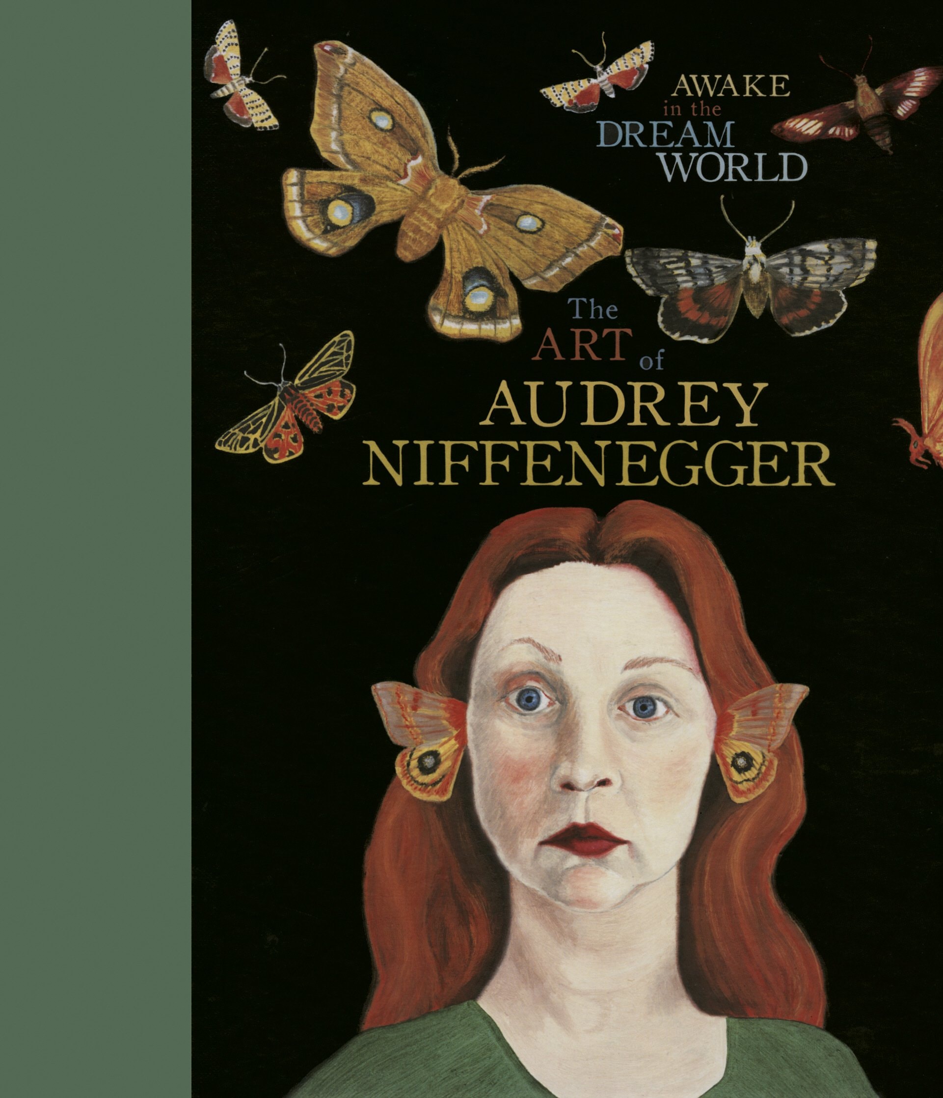 Awake in the Dream World The Art of Audrey Niffenegger