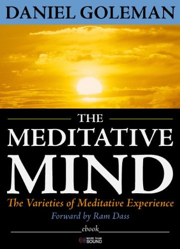 Emotional Self-Awareness A Primer