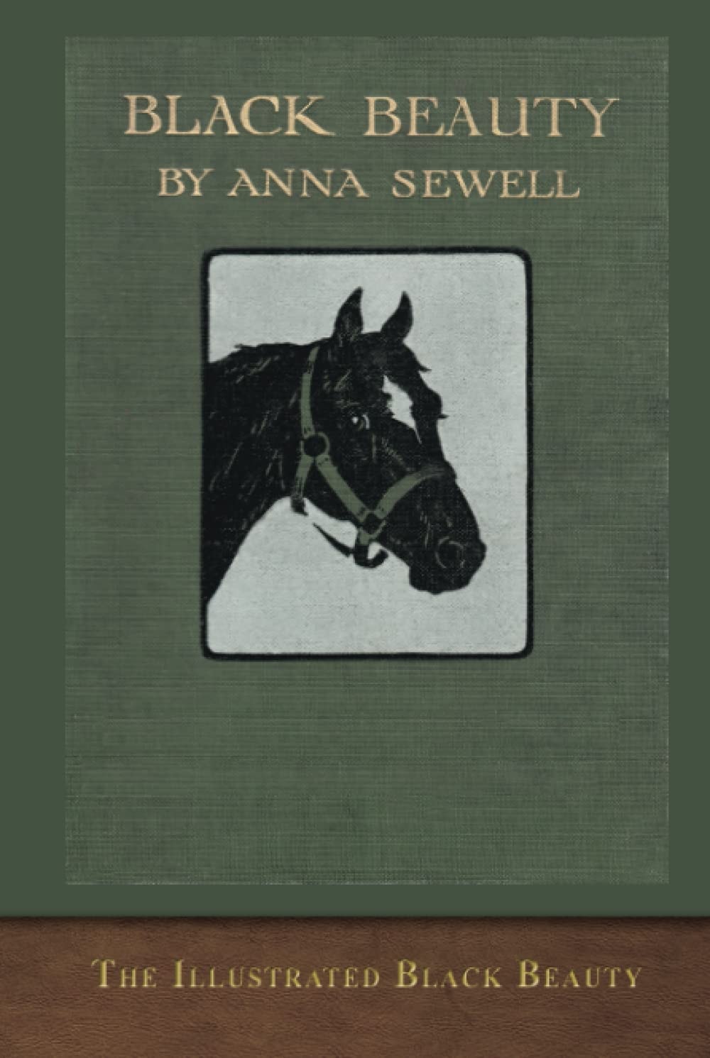 The Illustrated Black Beauty 100 Illustrations